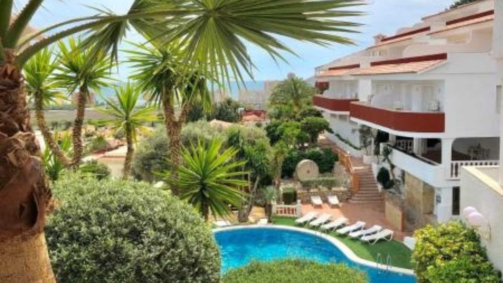LOS PALMITOS PEÑISCOLA