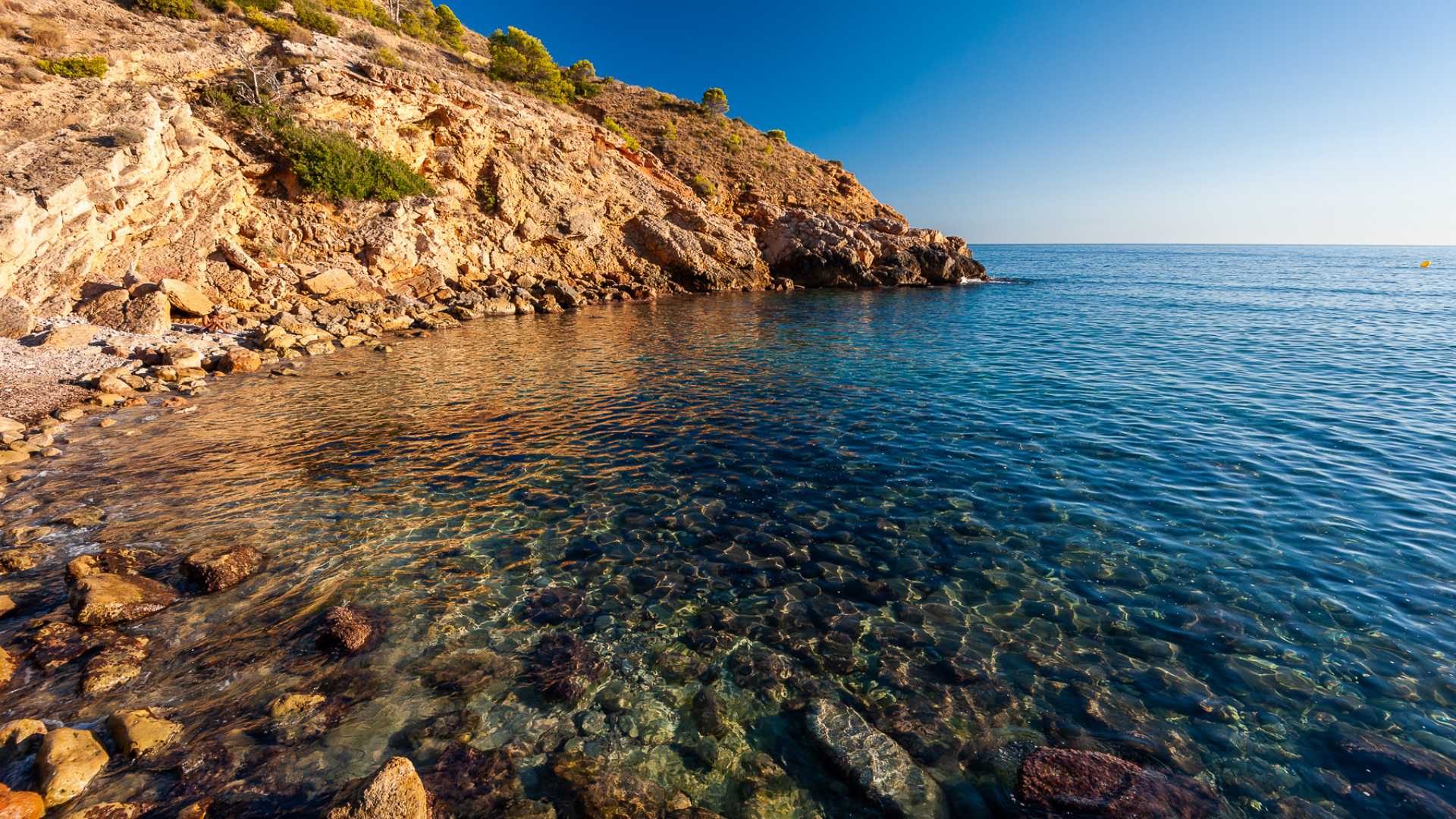 Buceo 4 Inmersiones Fin De Semana En Benidorm