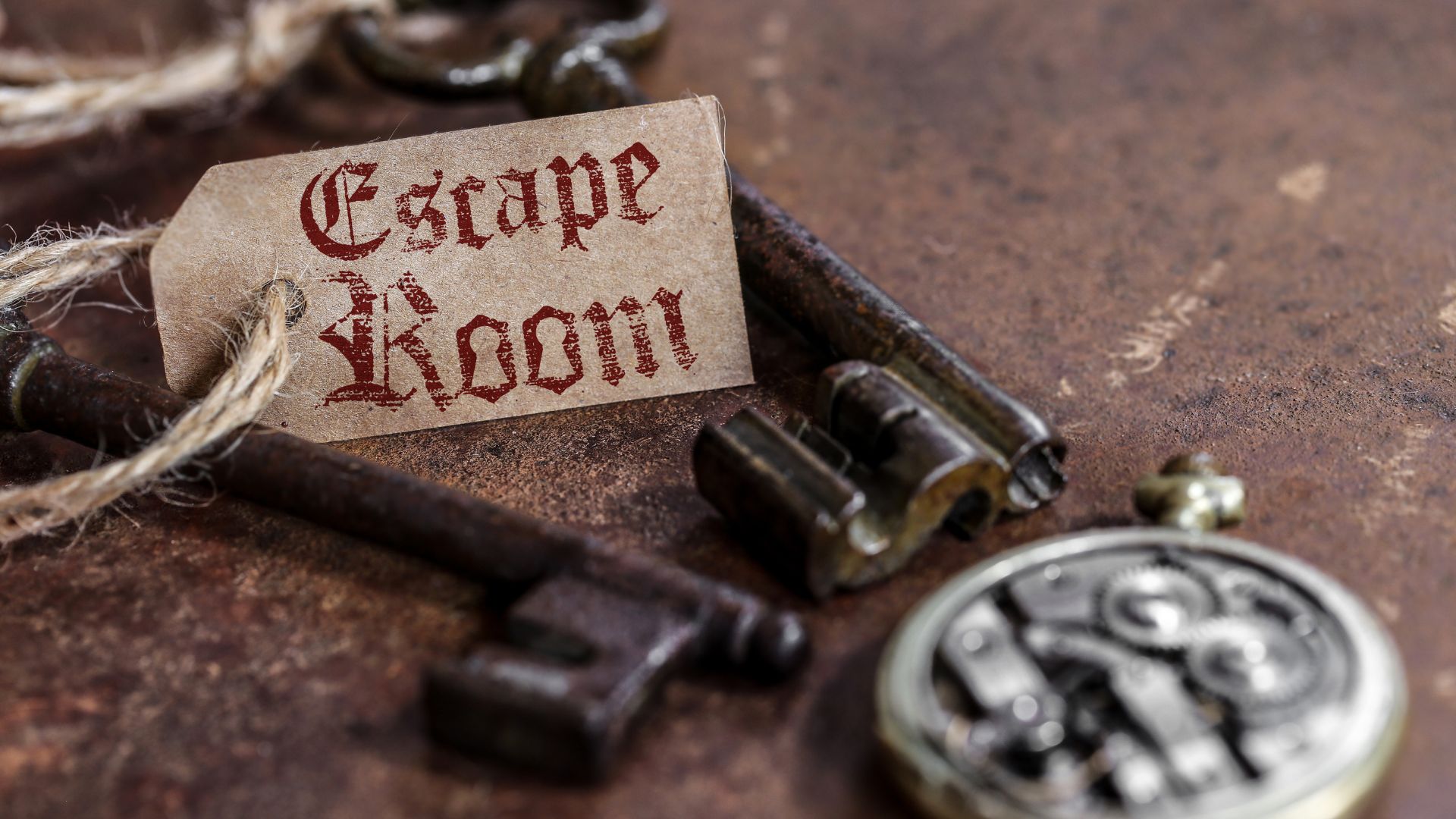 Escape Room Natura Albergue Actio