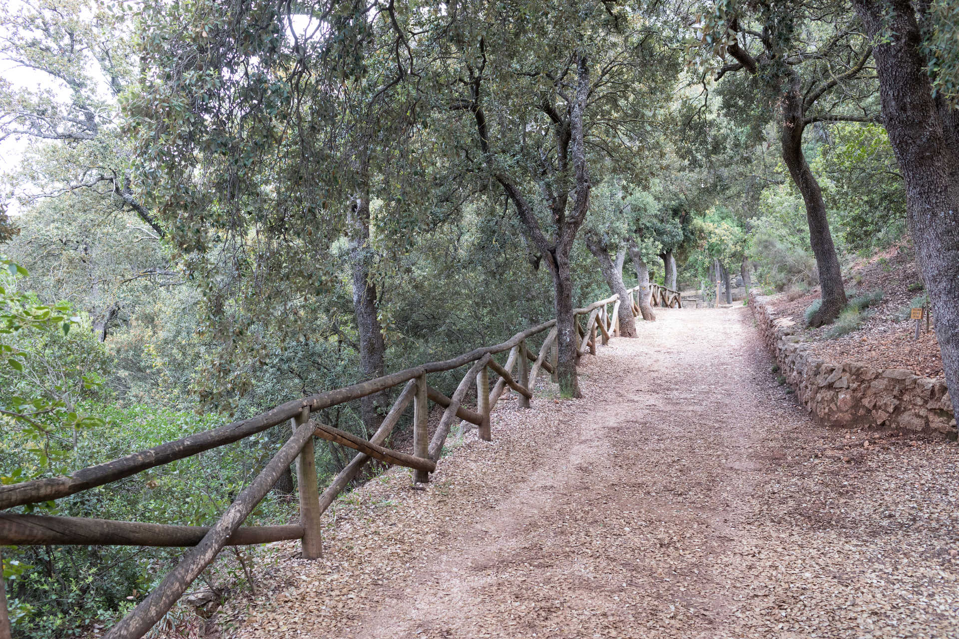 Parque Natural del Carrascal de la Font Roja