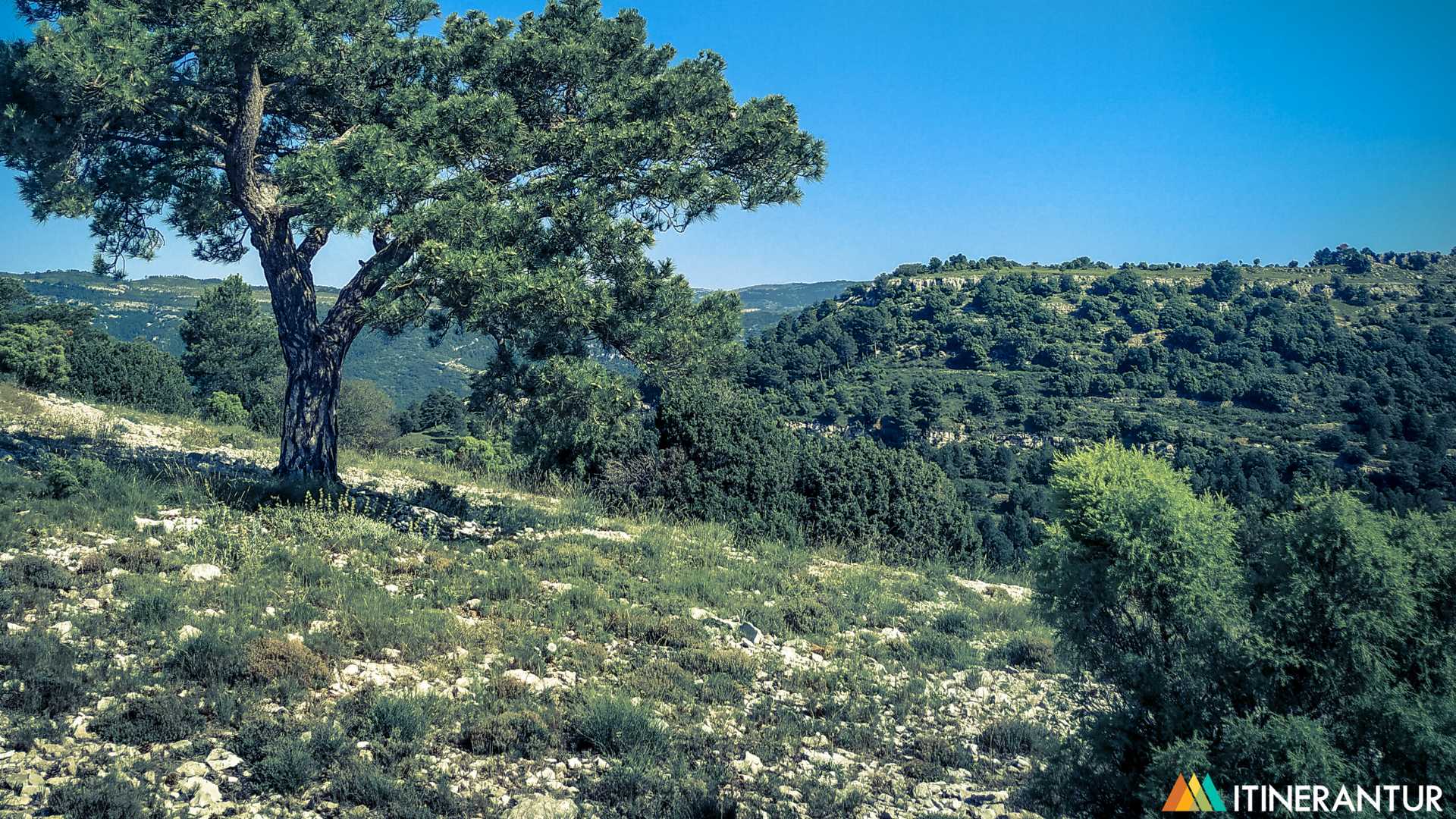 Randonnée à Rossell : découvrez la Tinença de Benifassà