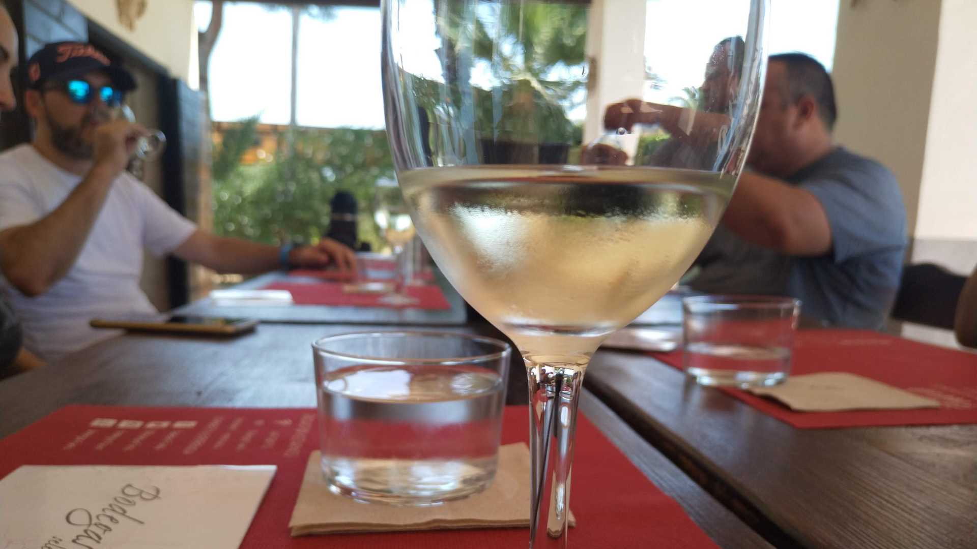 Tradiciones del campo de Elche