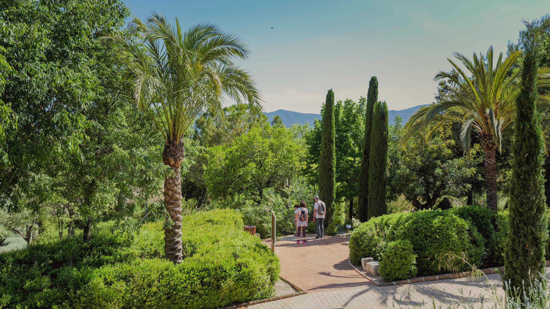 Enjoy the beautiful gardens in the Region of Valencia
