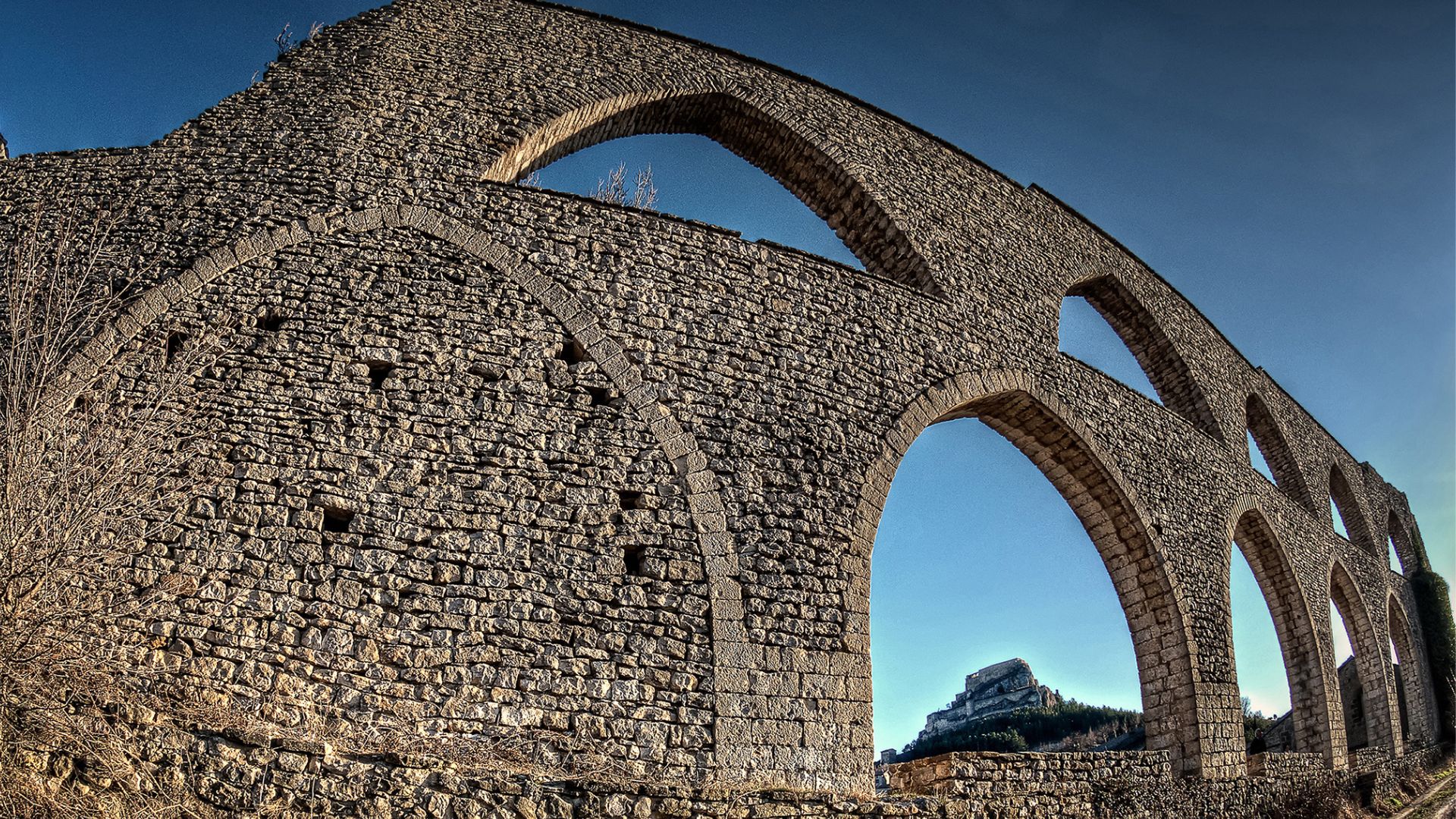 Trail Morella