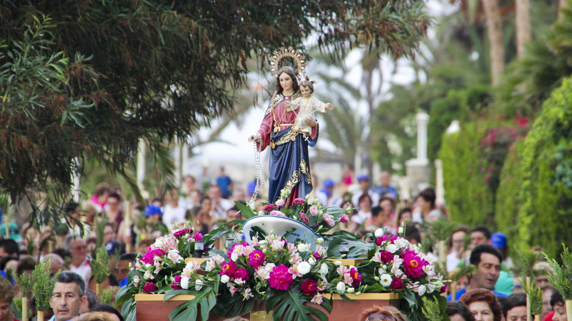 ROMERIA DEL CAP