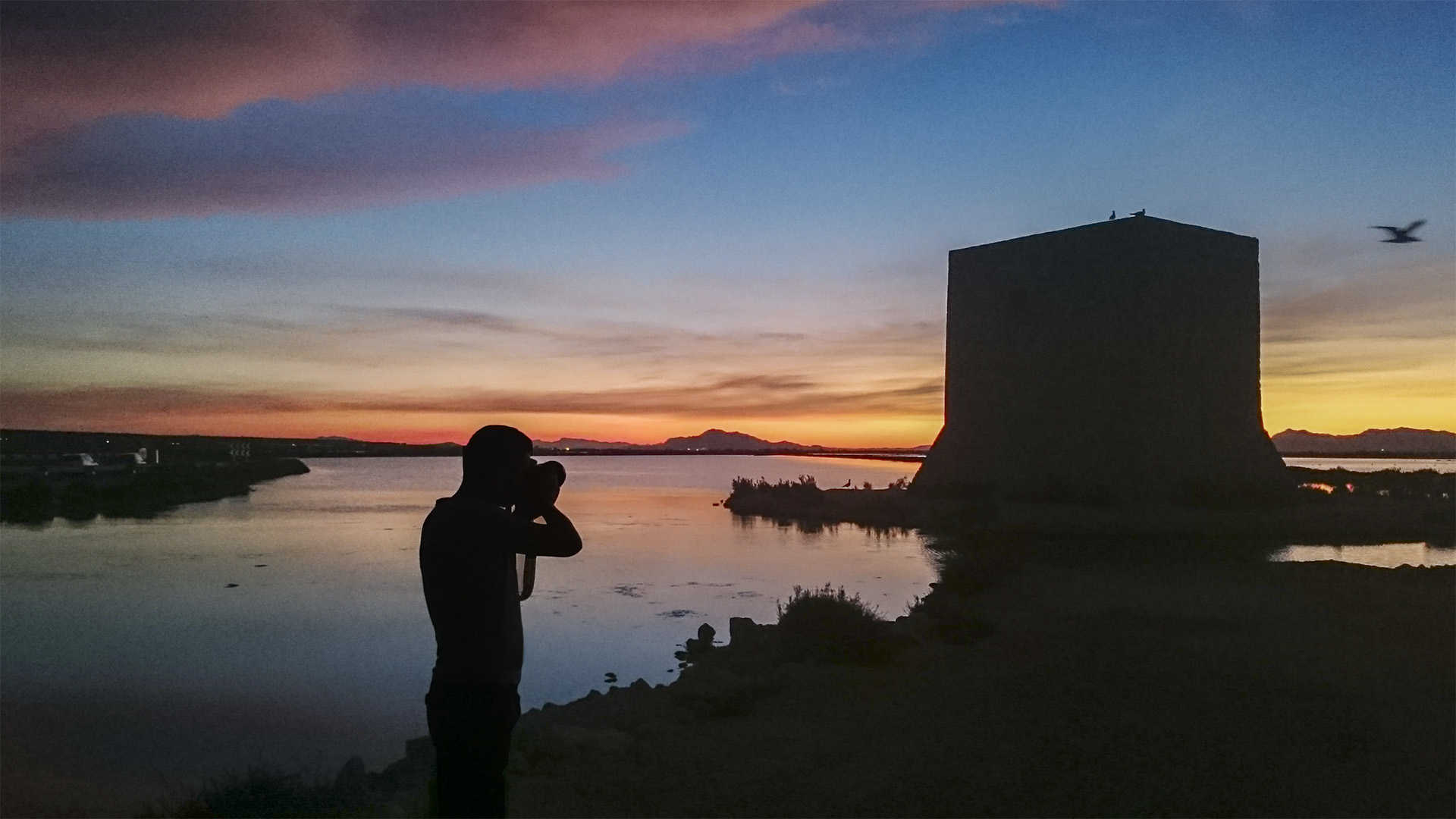 Torre vigía Tamarit