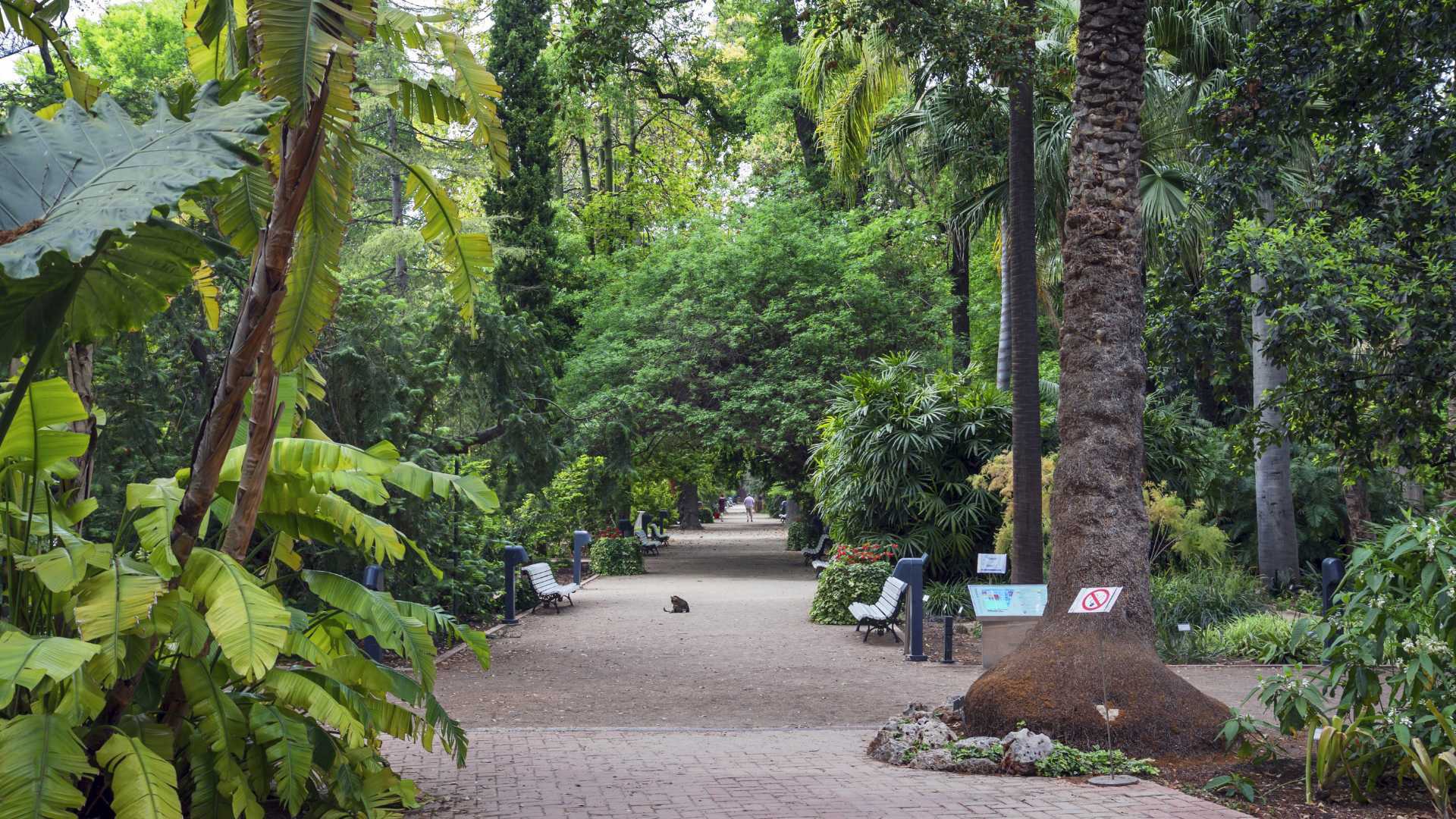visit valencia botanic garden