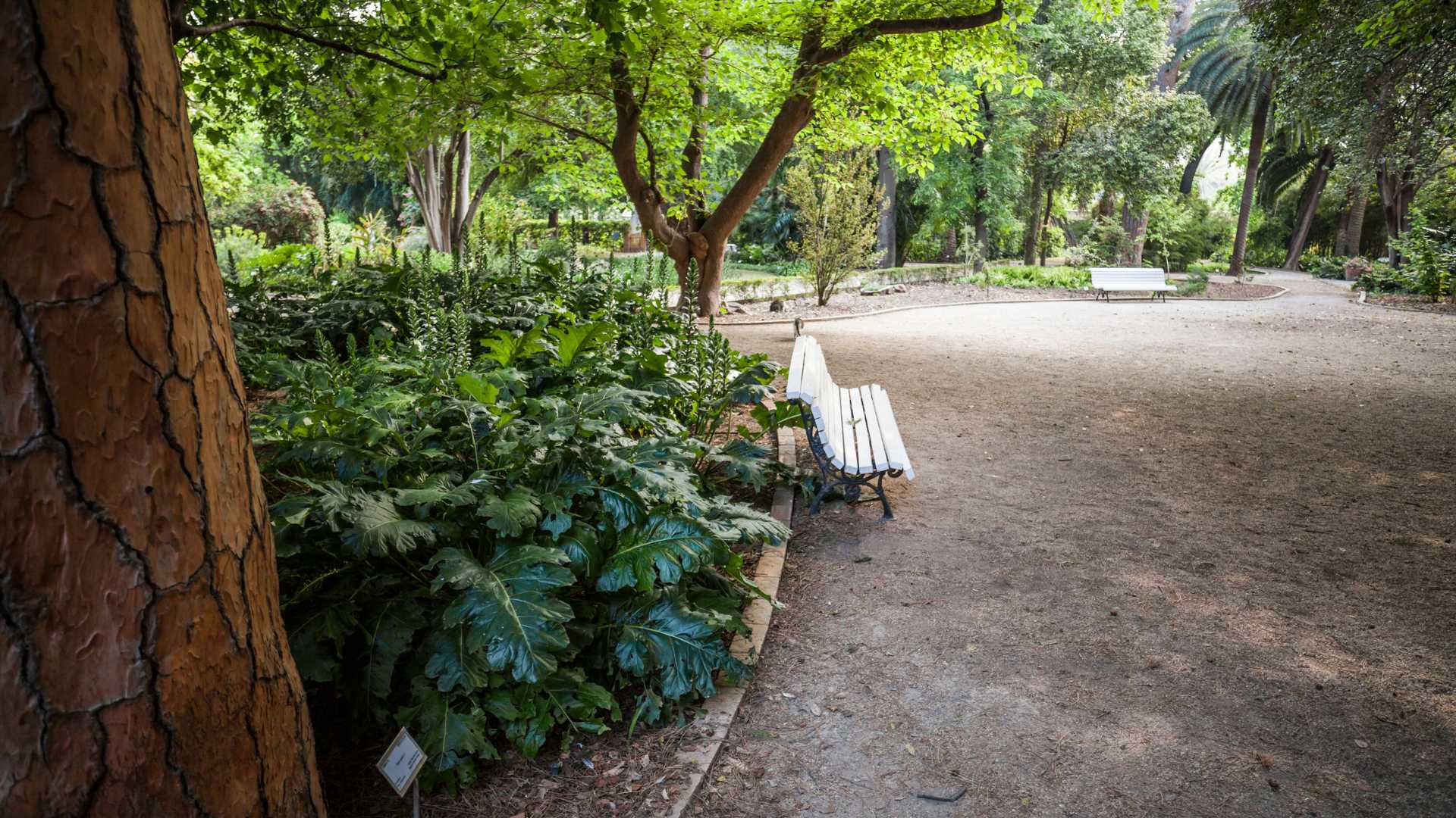 Botanischer Garten von València