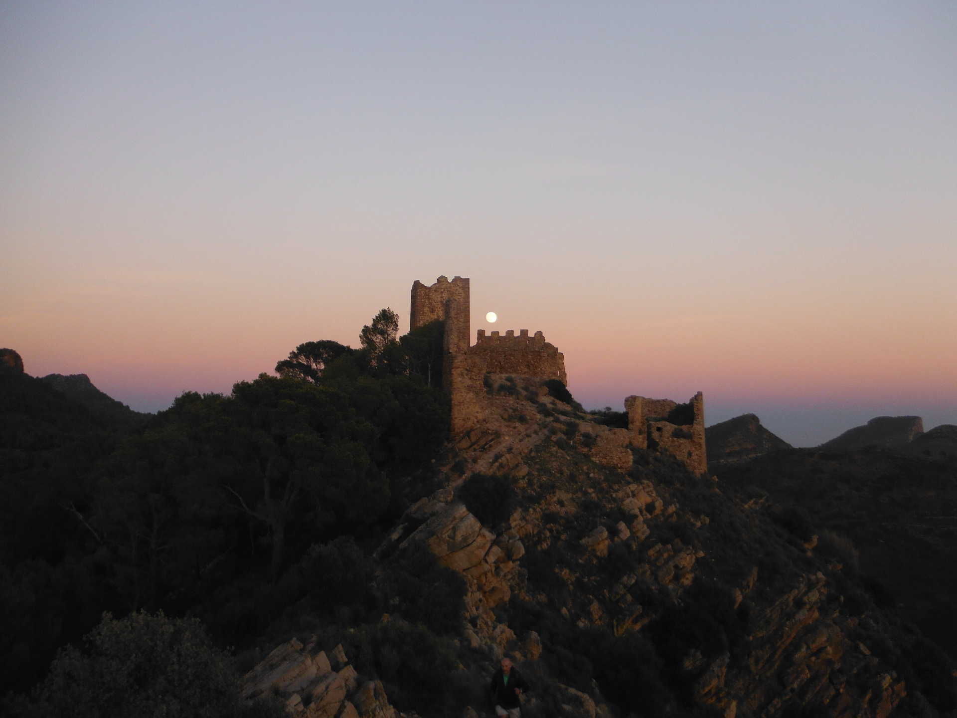 calderona viva valencia