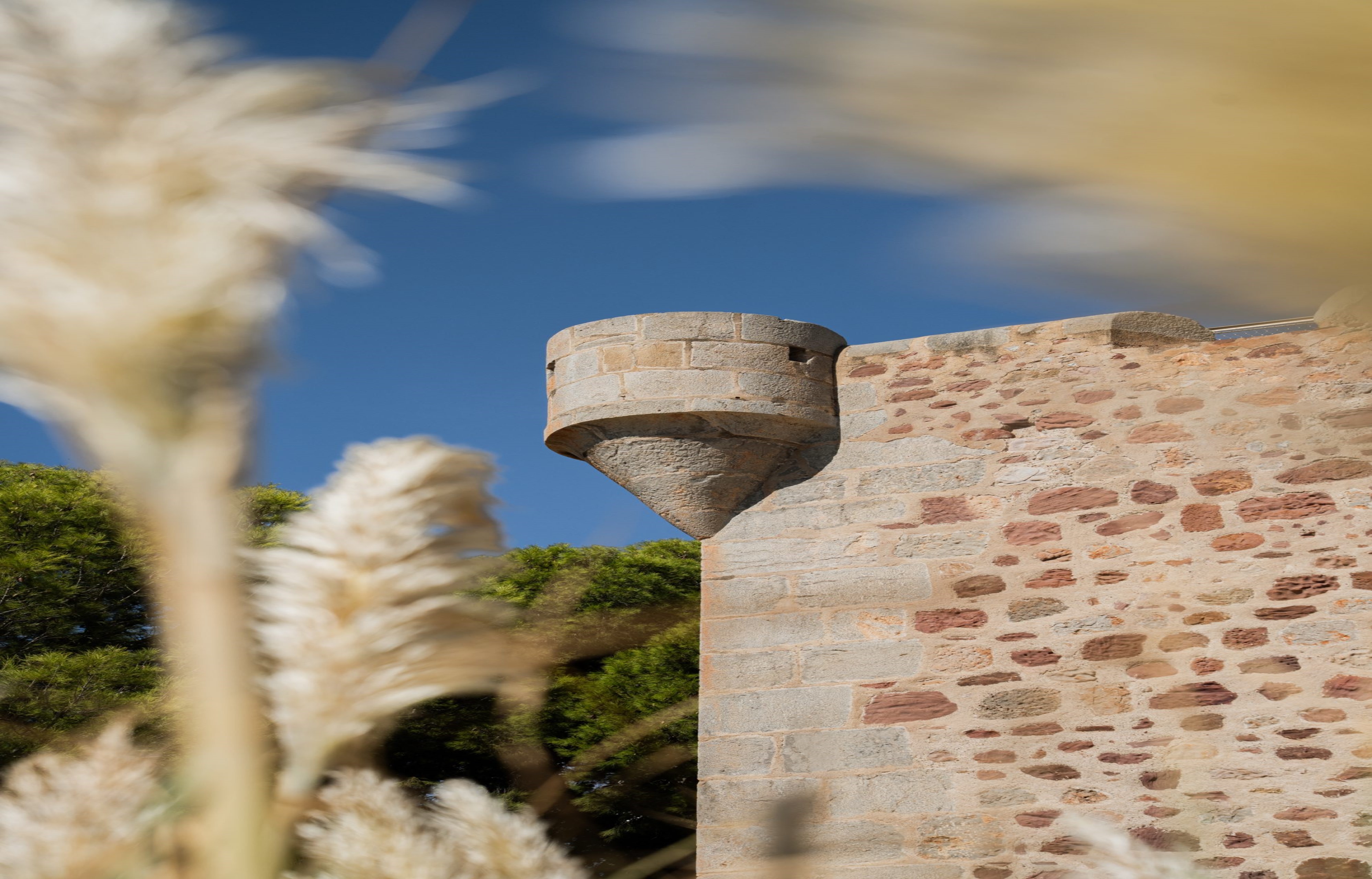 Visita guiada: En caure la nit a la Torre de Sant Vicent