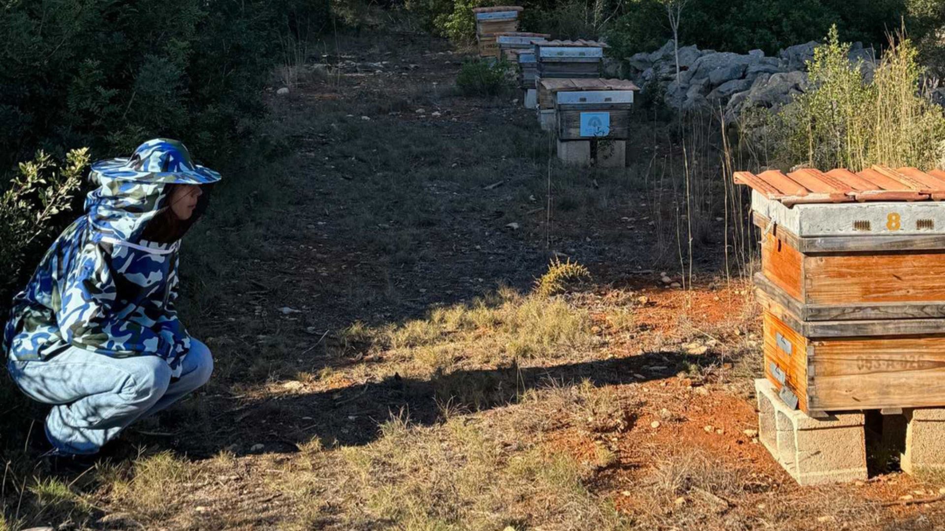 Experiencia de Apiturismo en Jávea
