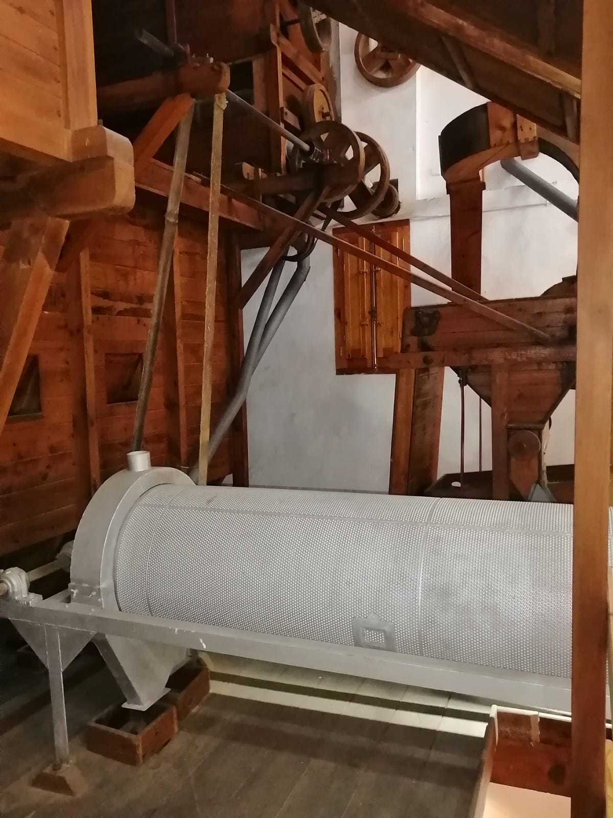 MUSEO