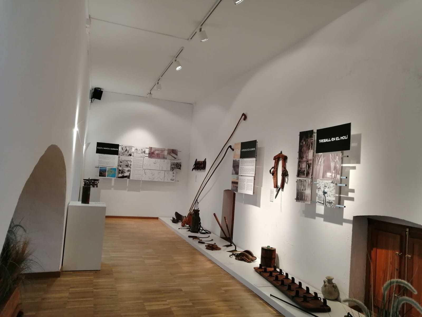MUSEO
