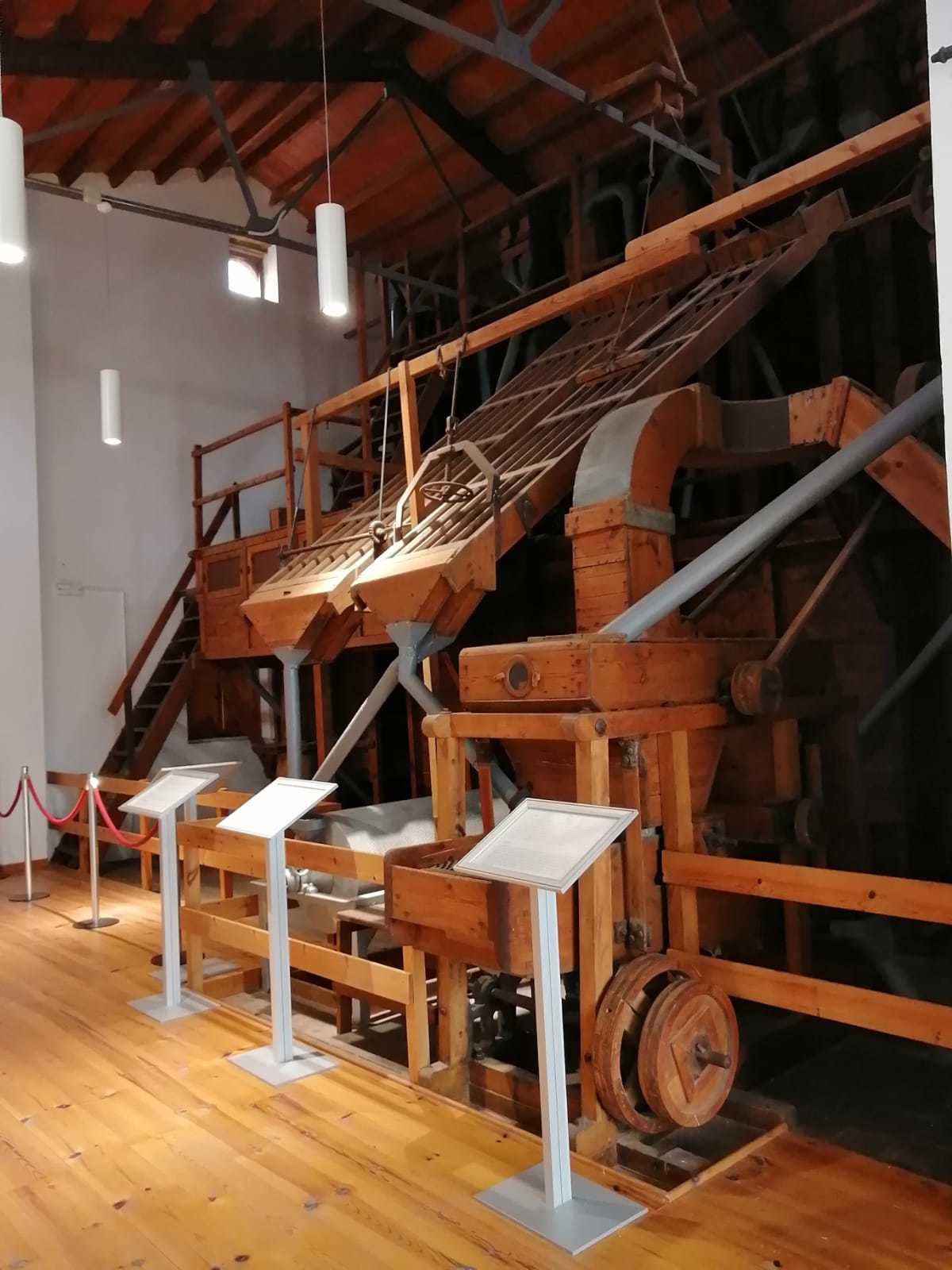 MUSEO