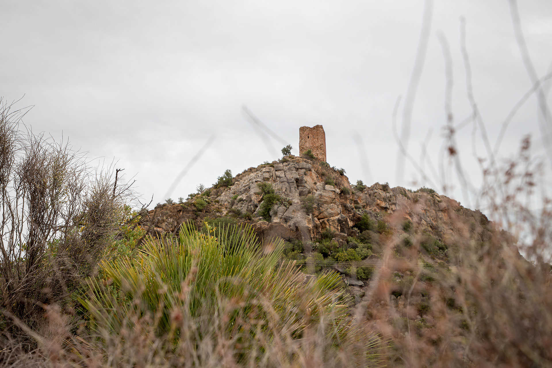 CASTILLO DE ALMENARA