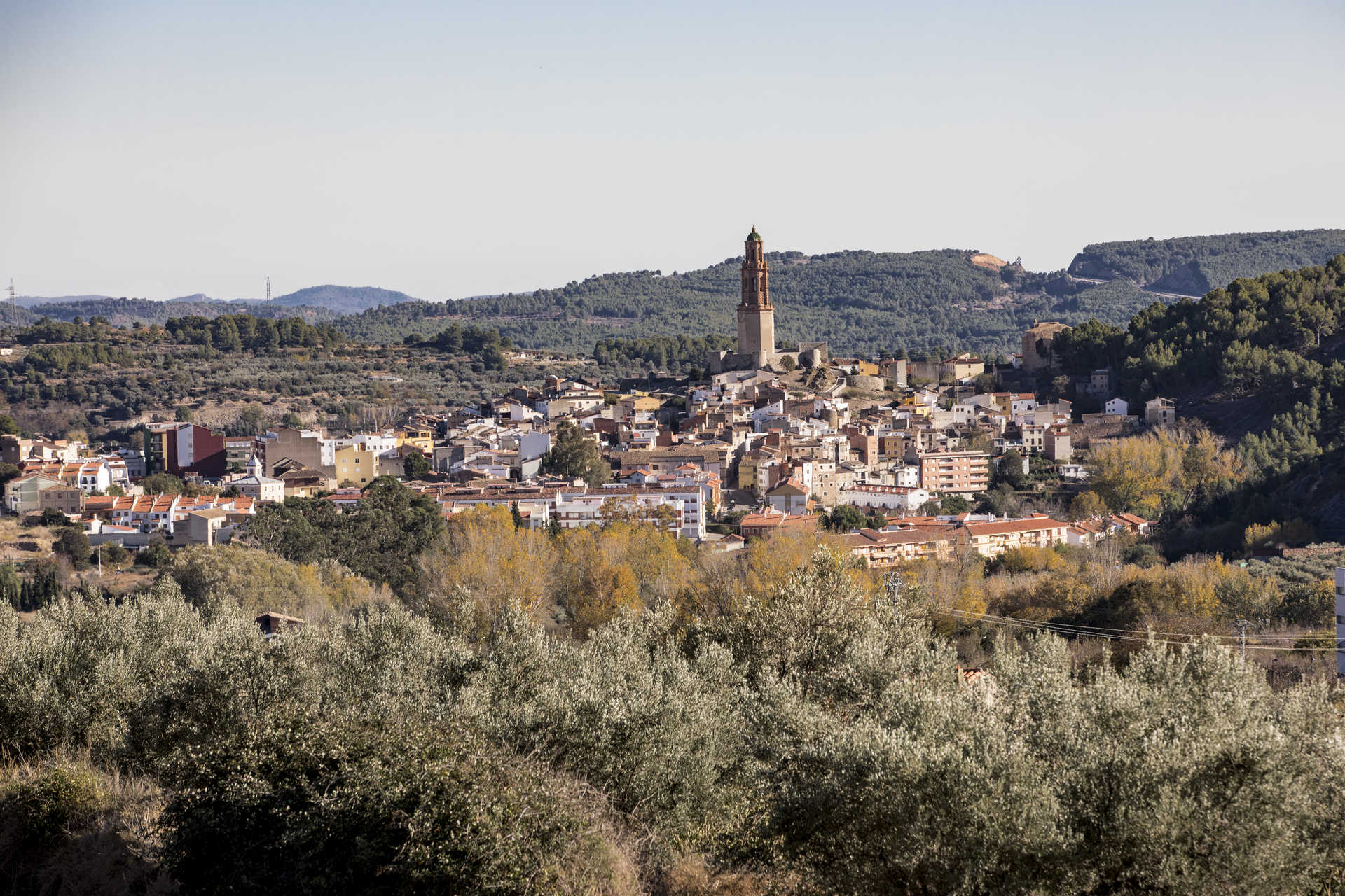 Castillo, ermita de San Roque o Santa Águeda la Vieja y cintas murarias