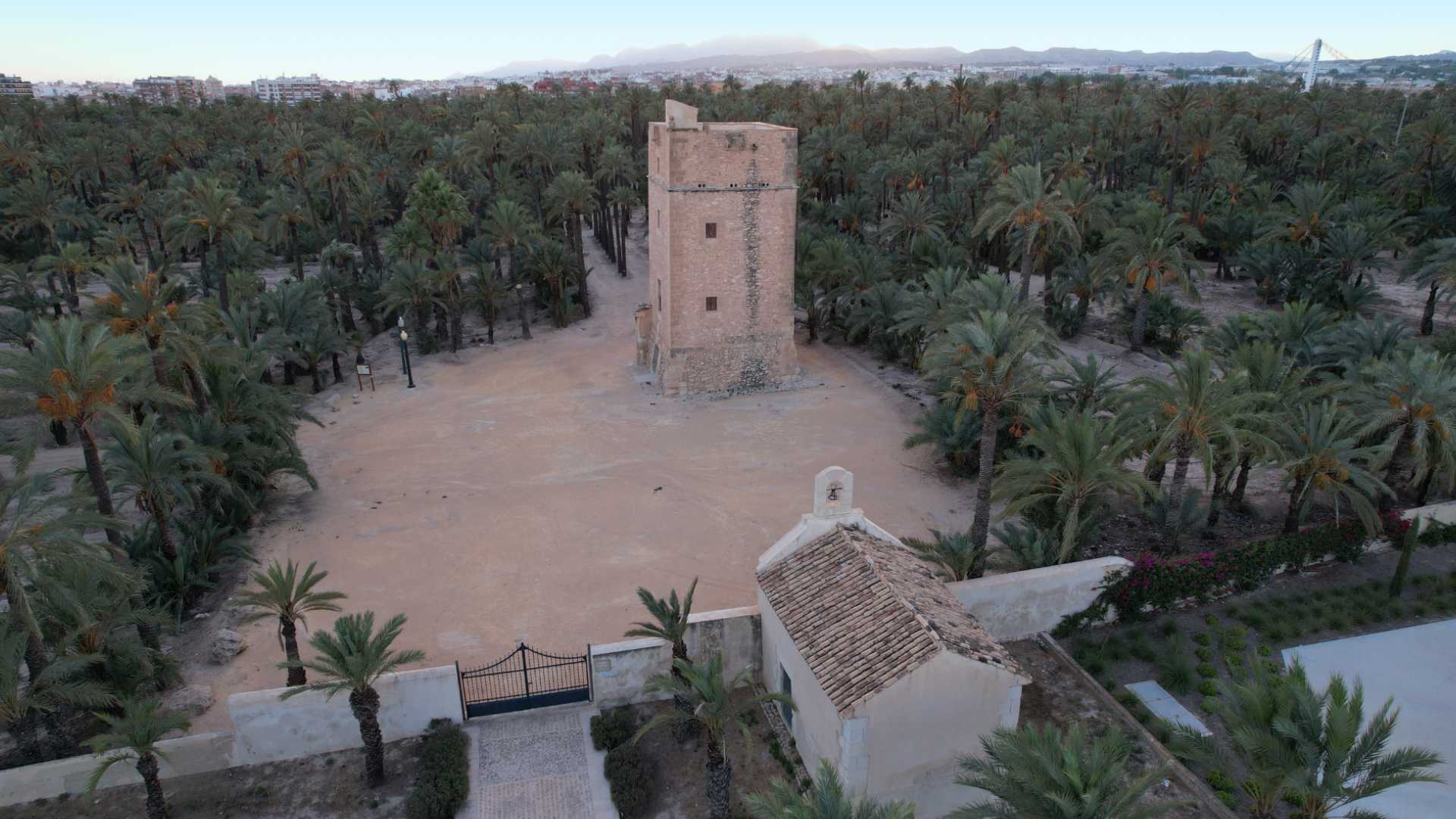 SENDERO DEL PALMERAL