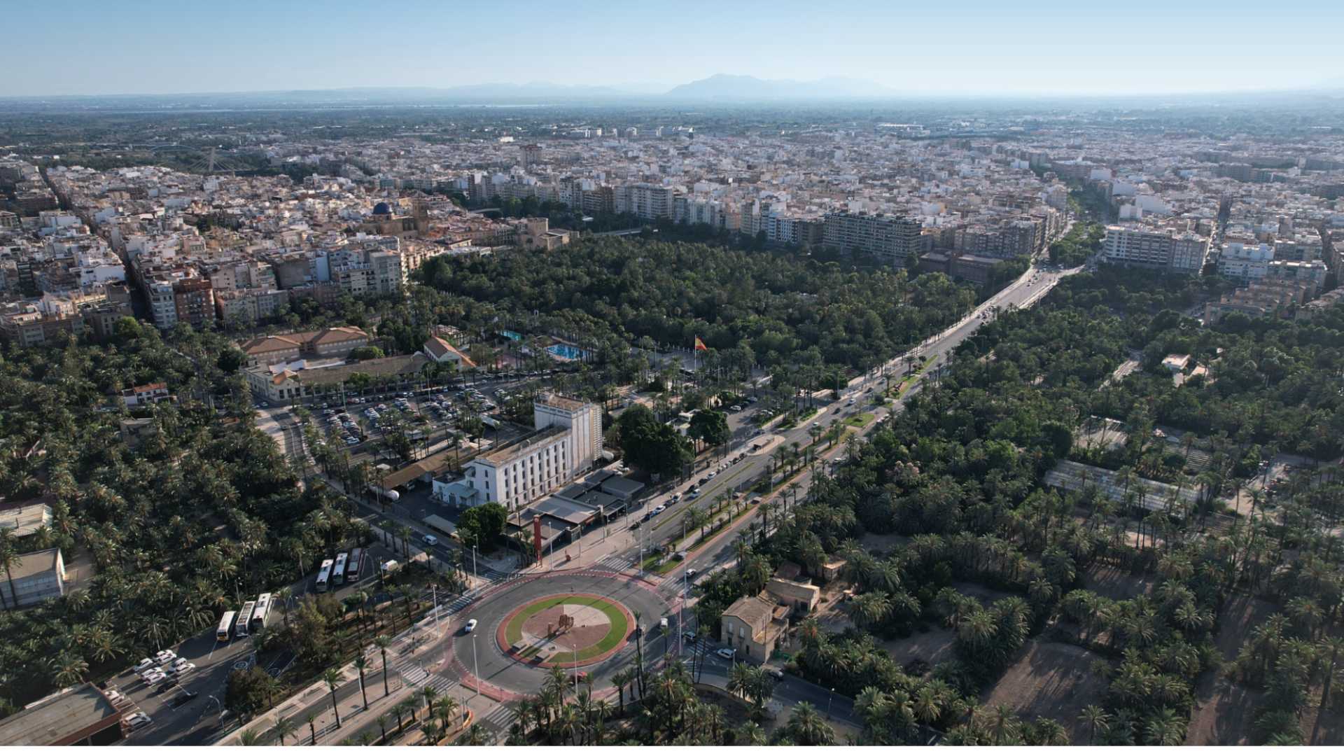 SENDERO DEL PALMERAL