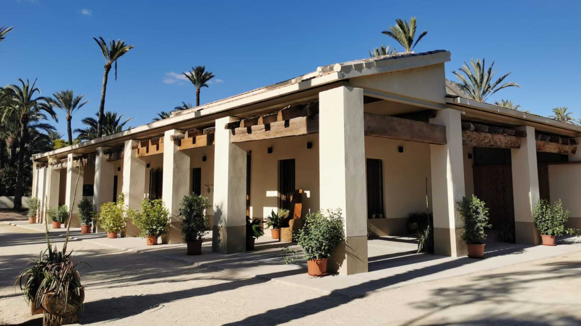 SENDERO DEL PALMERAL