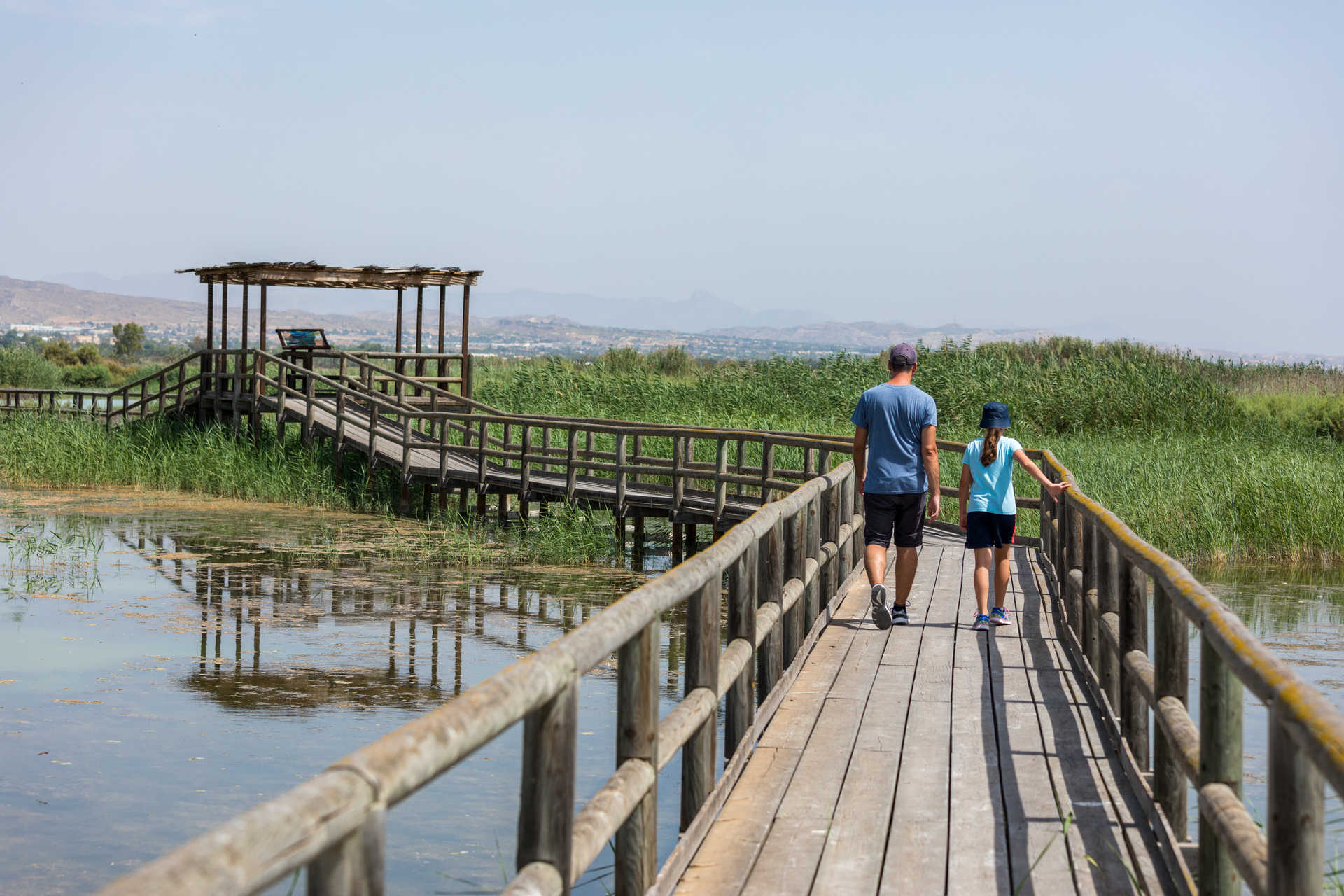 El Hondo natural park