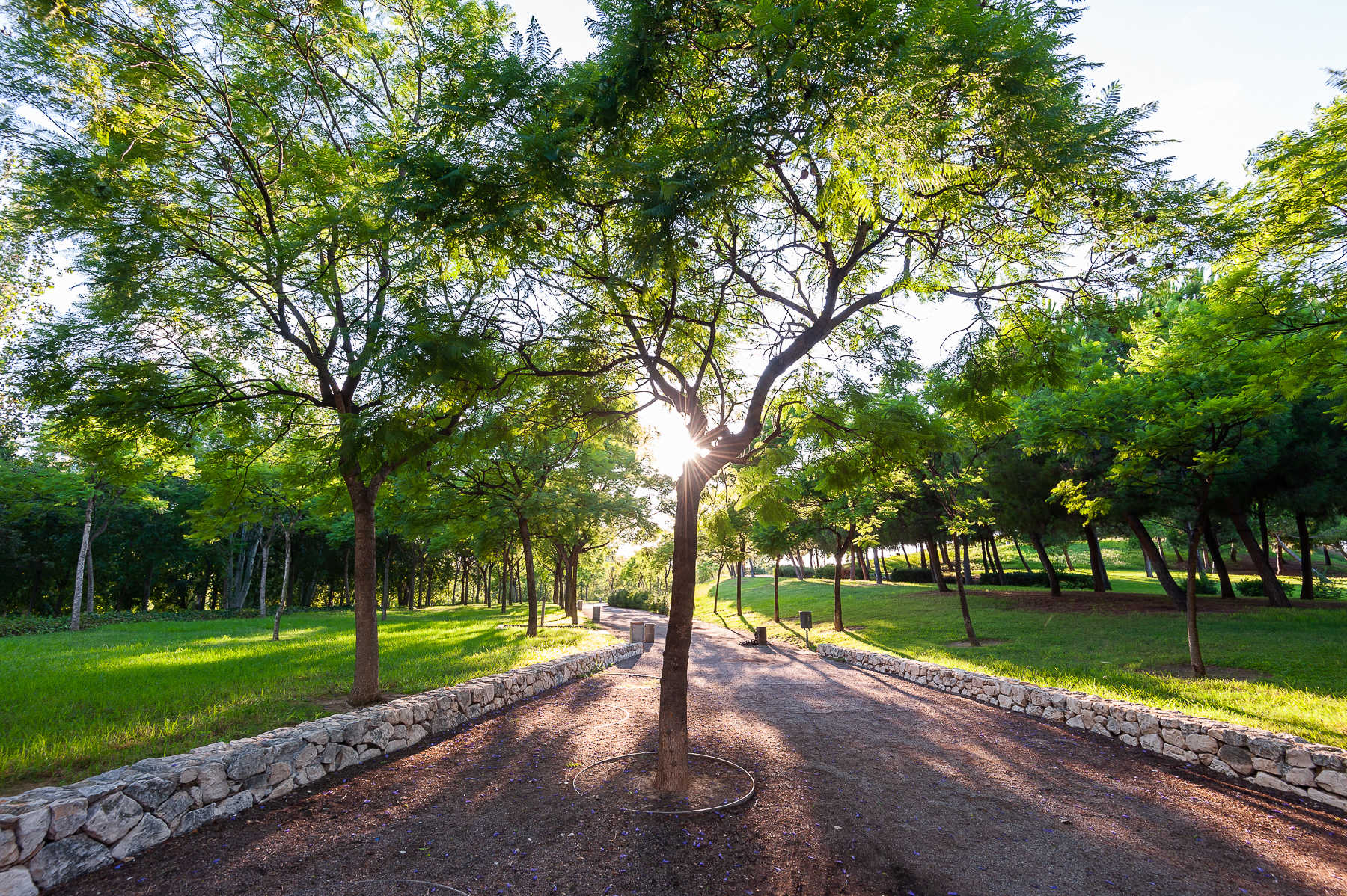 Parc de Capçalera