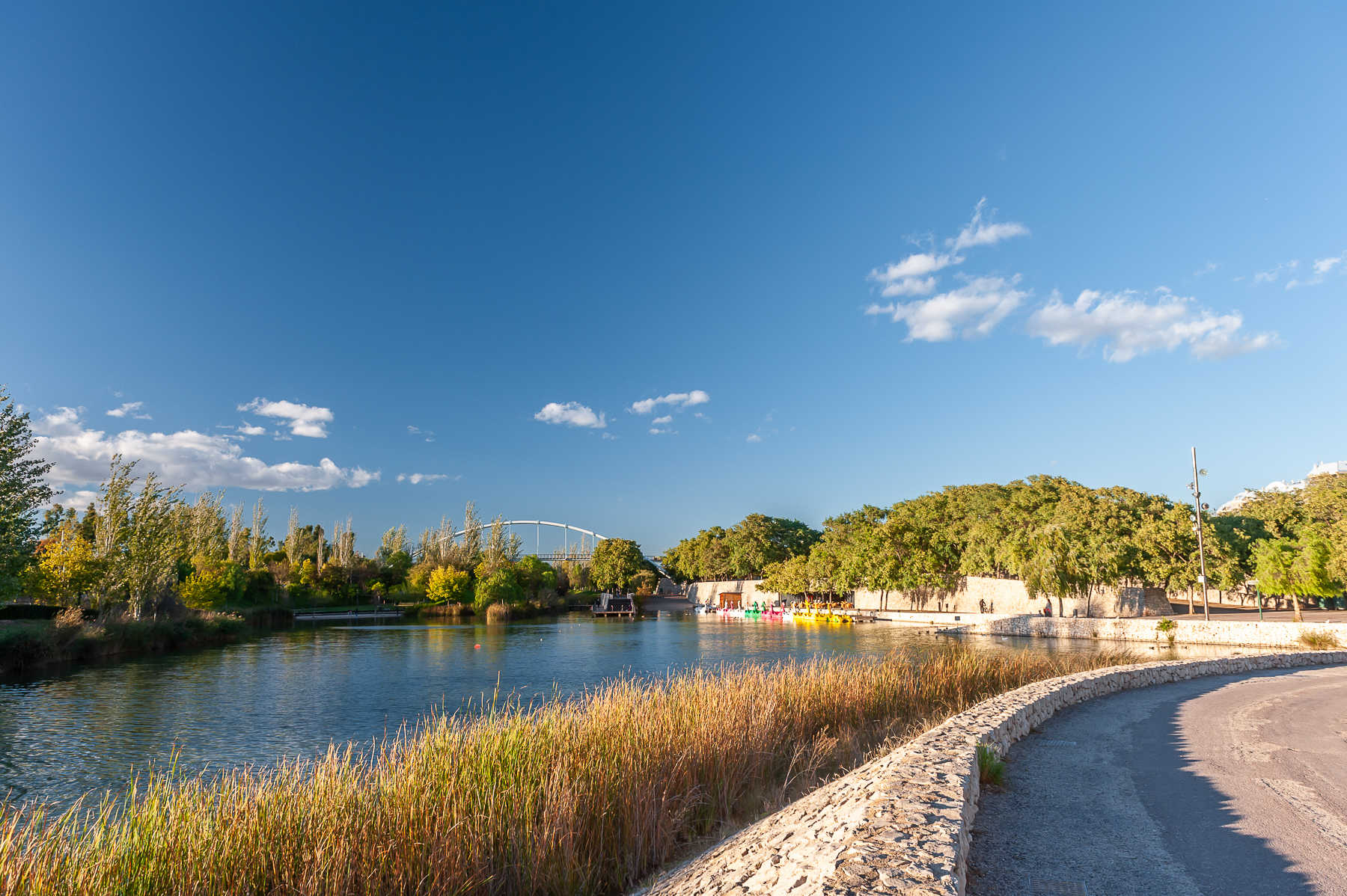 Parque de Cabecera