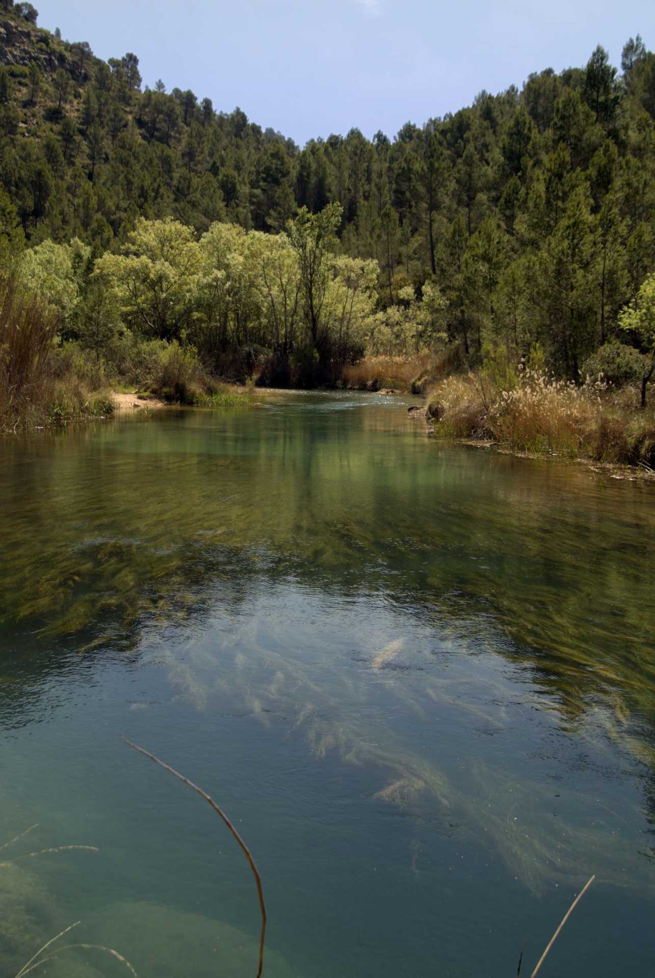 Parc Naturel Hoces del Cabriel