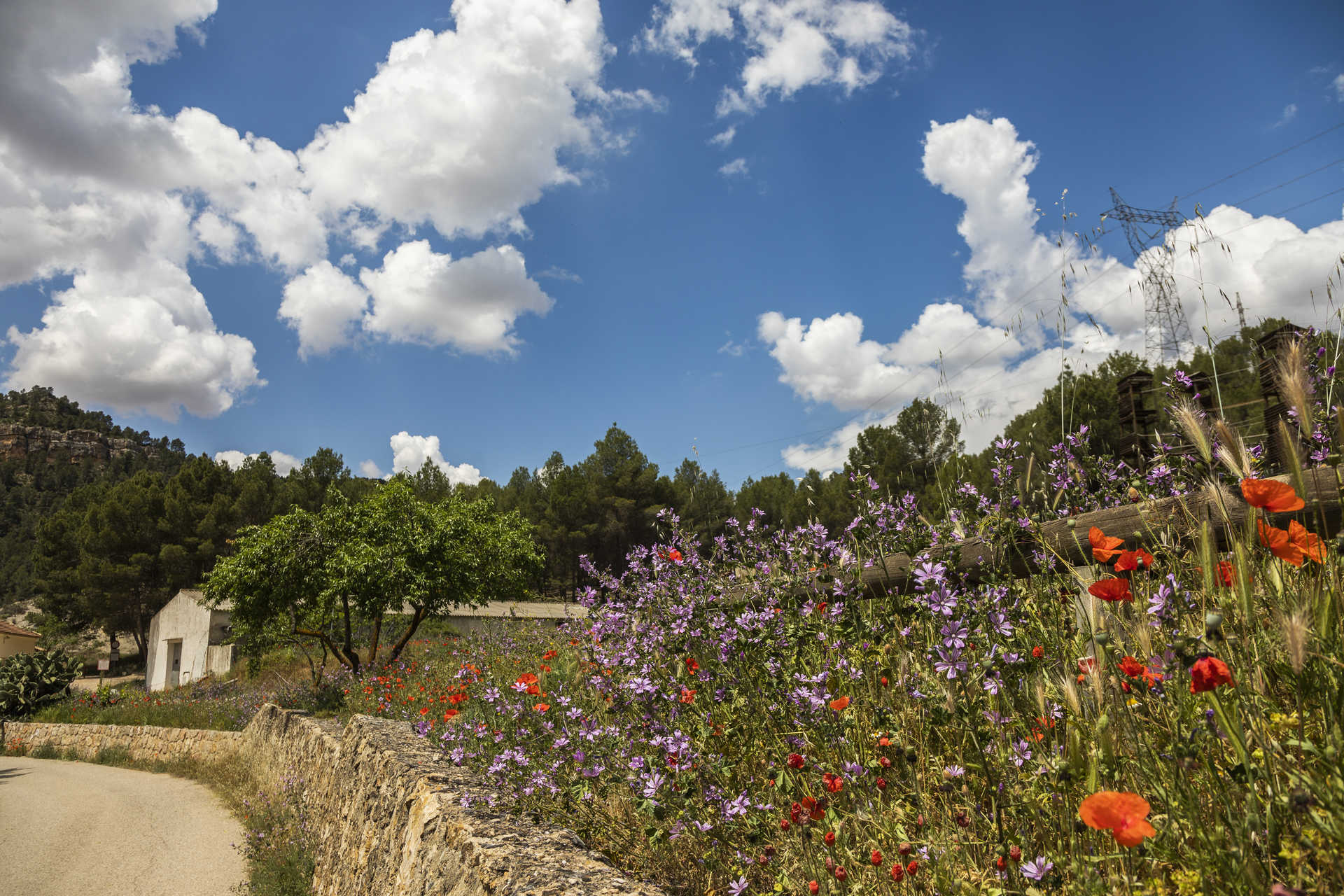 Parc Naturel Hoces del Cabriel