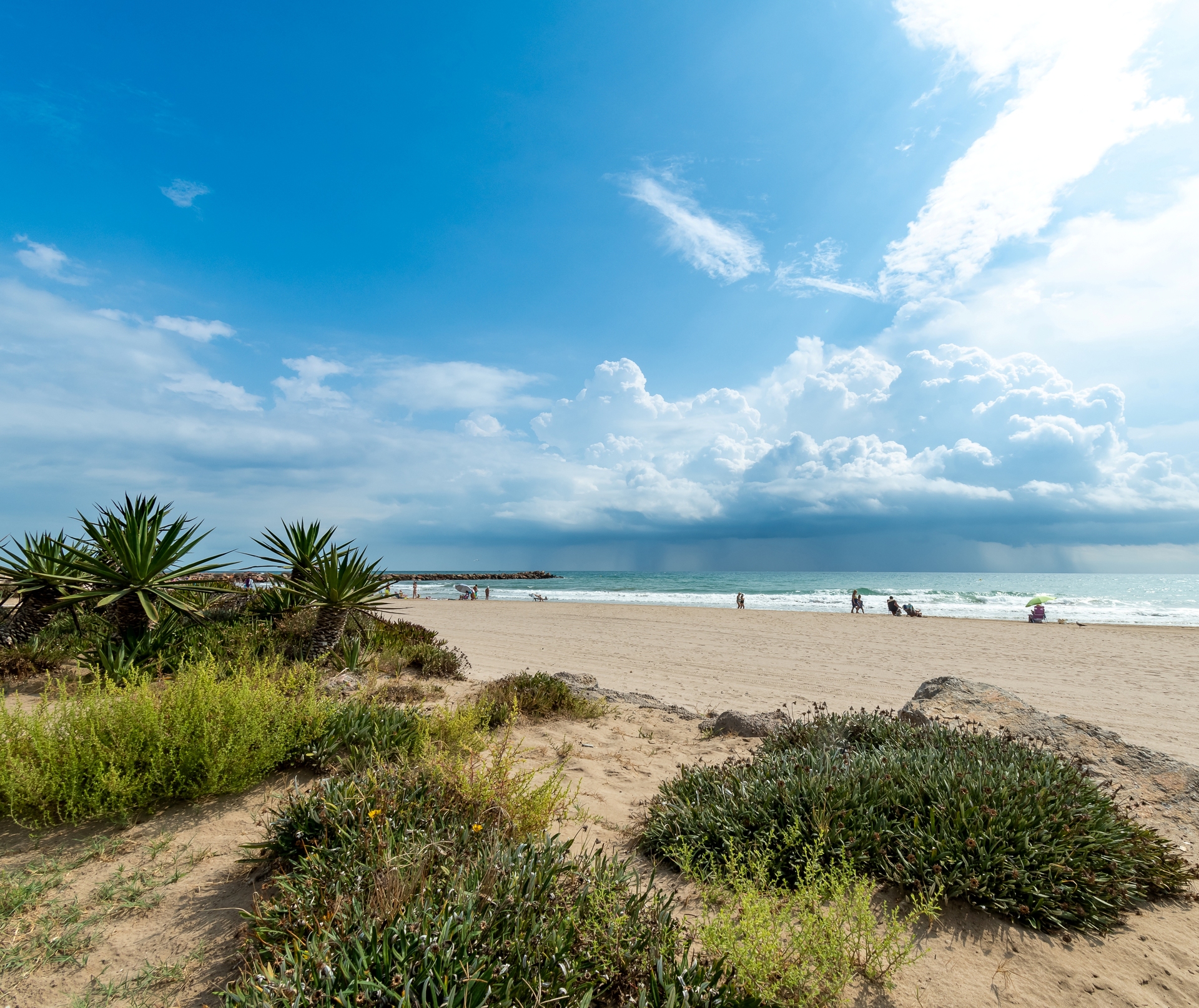 El Puig Playa Medicalia