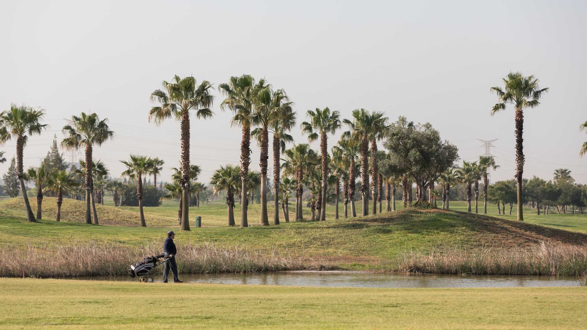 club de golf els foressos picassent