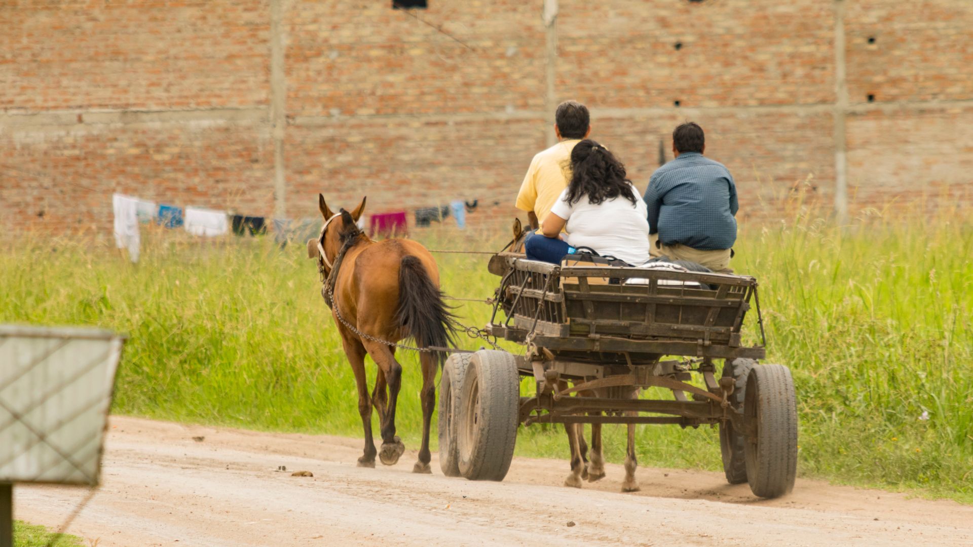 Feria Ganadera