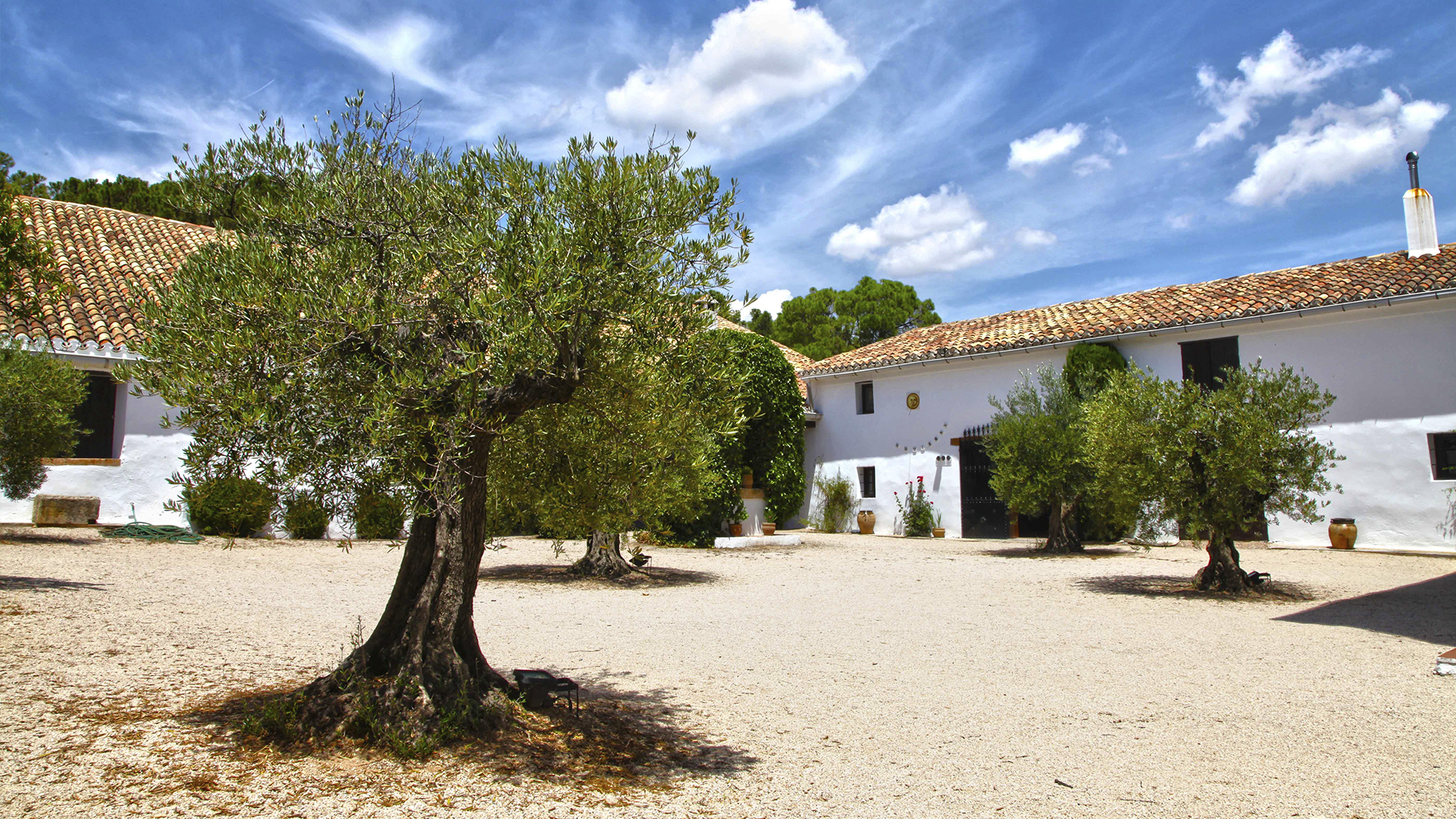 visita bodega vicente gandia