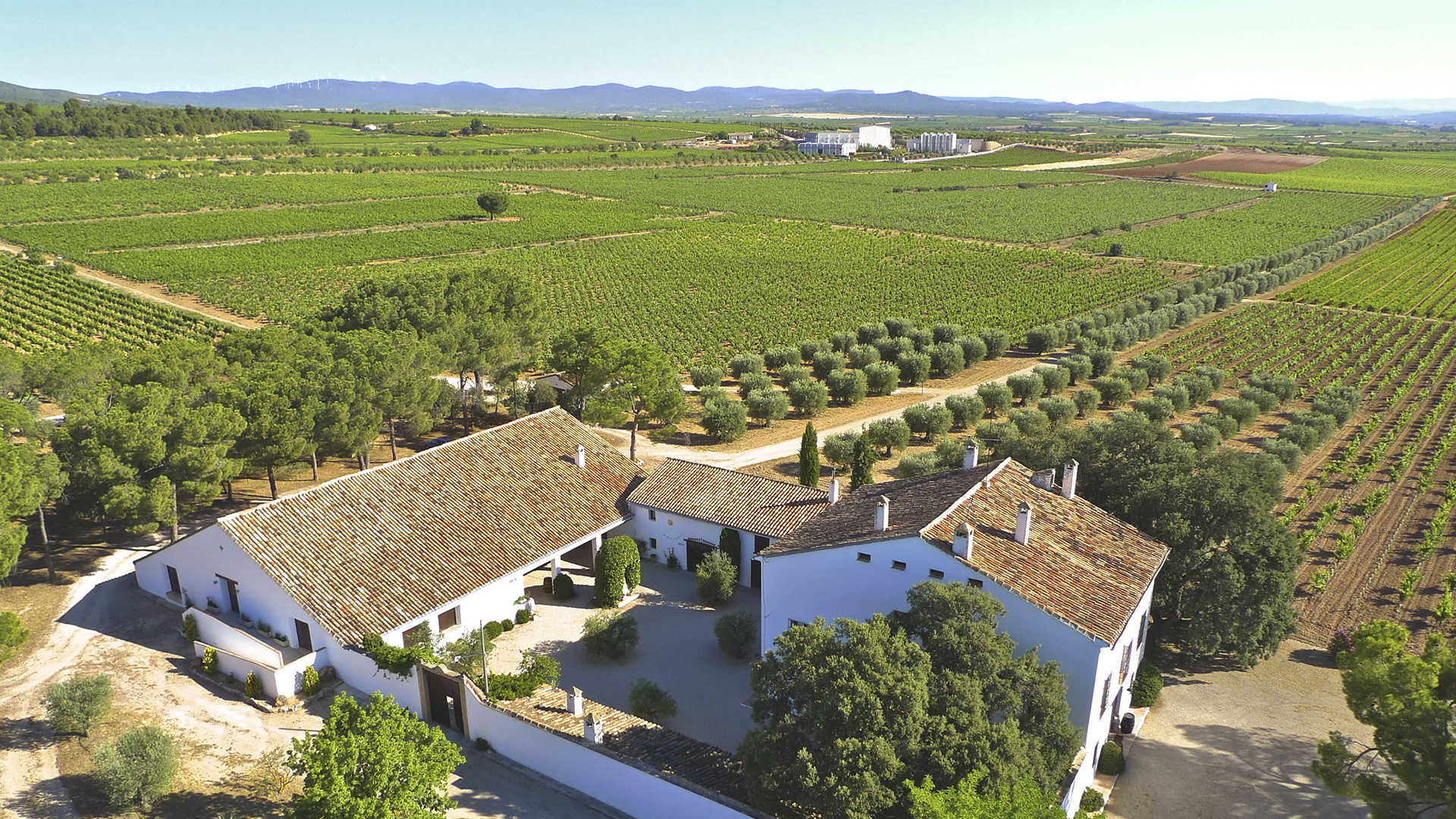 cellers vicente gandia finca hoya de cadenas