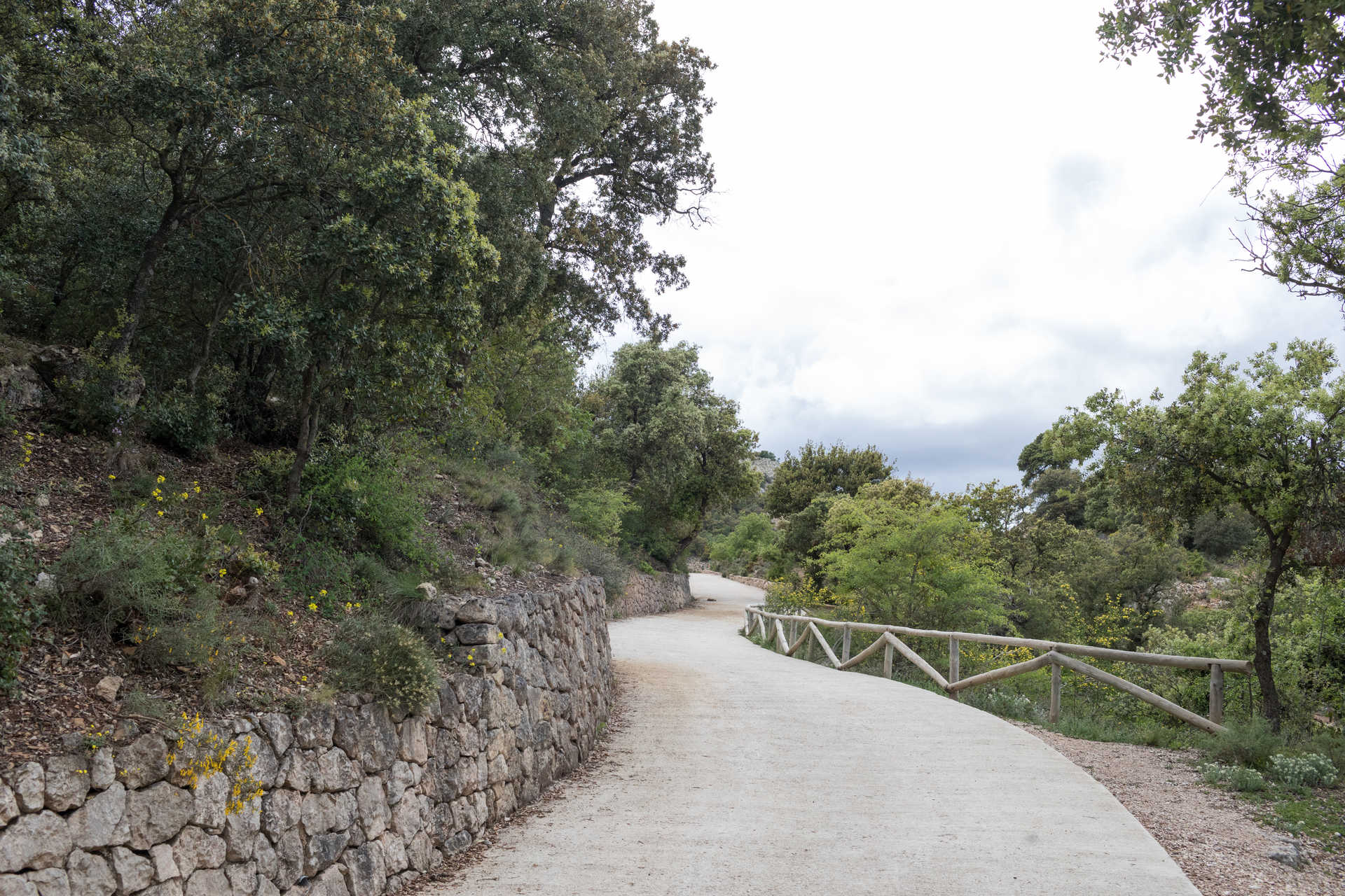 Parque Natural del Carrascal de la Font Roja