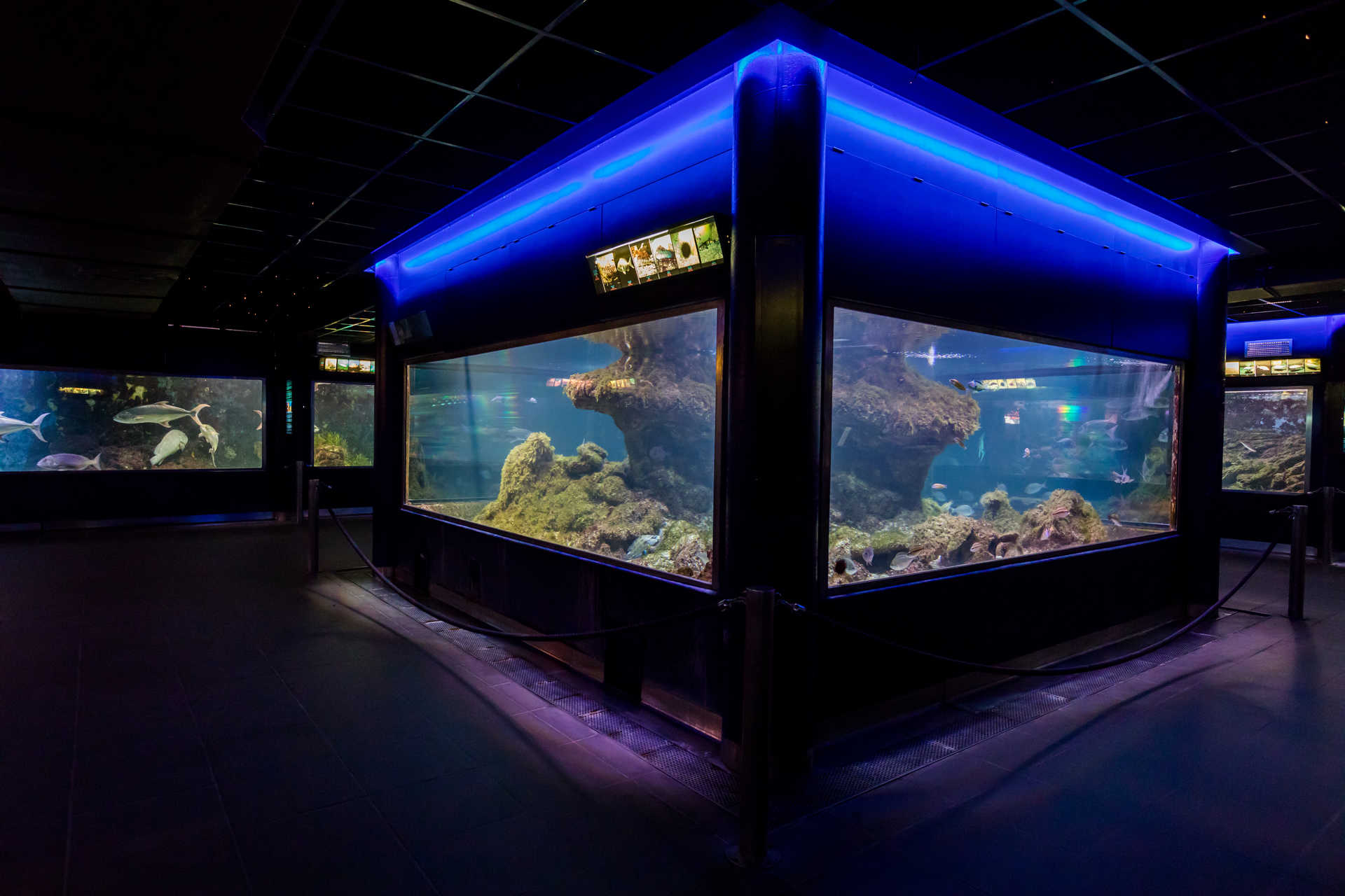 Museum des Meers