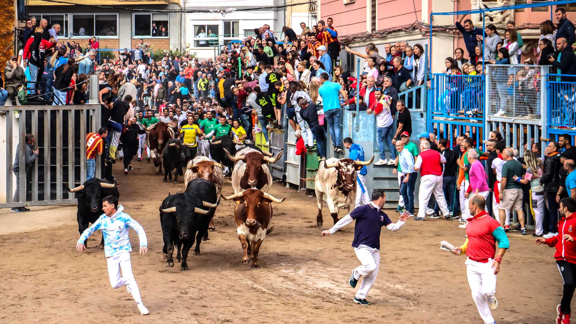 FIRA D’ONDA
