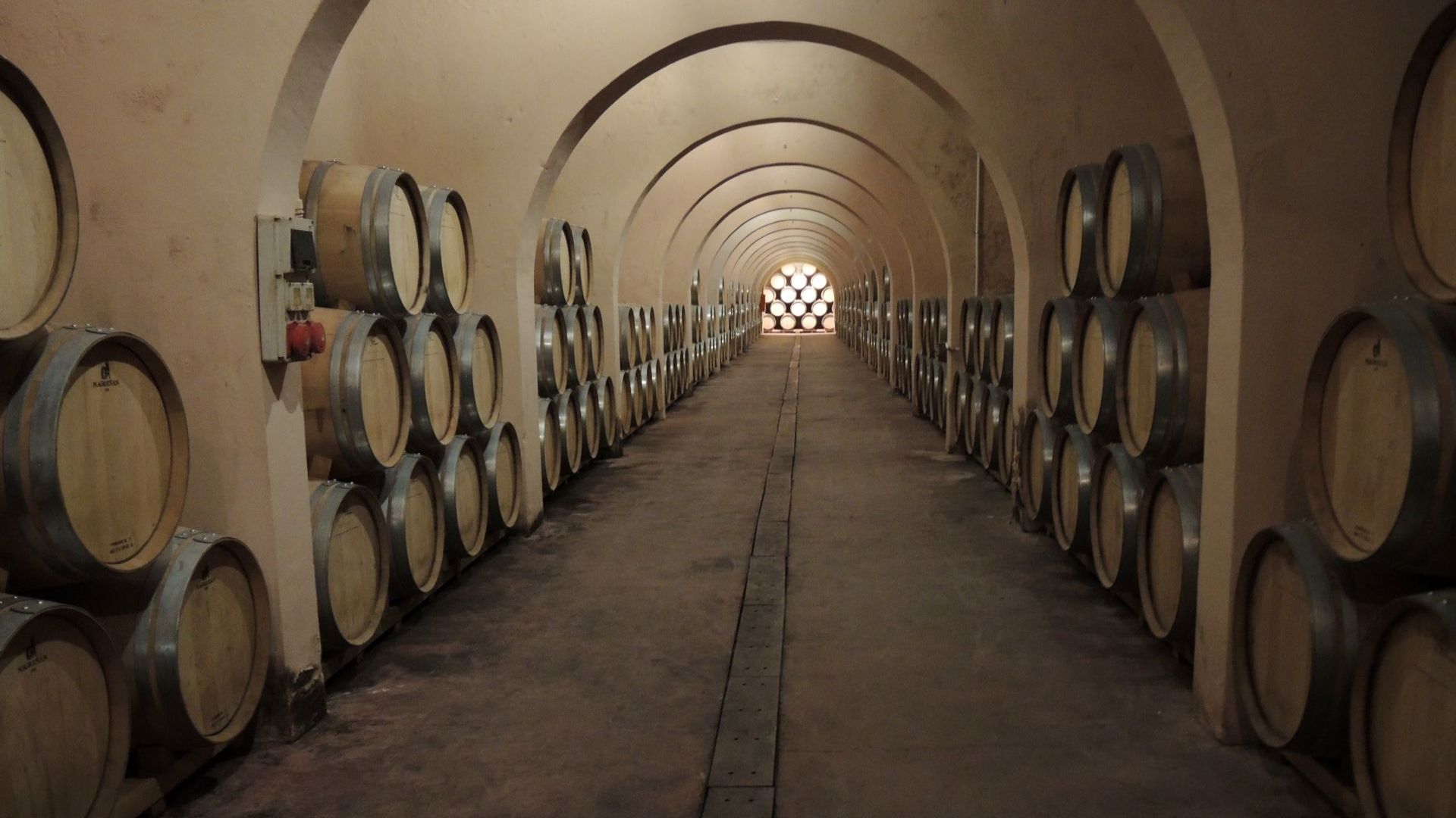 vinival 2026