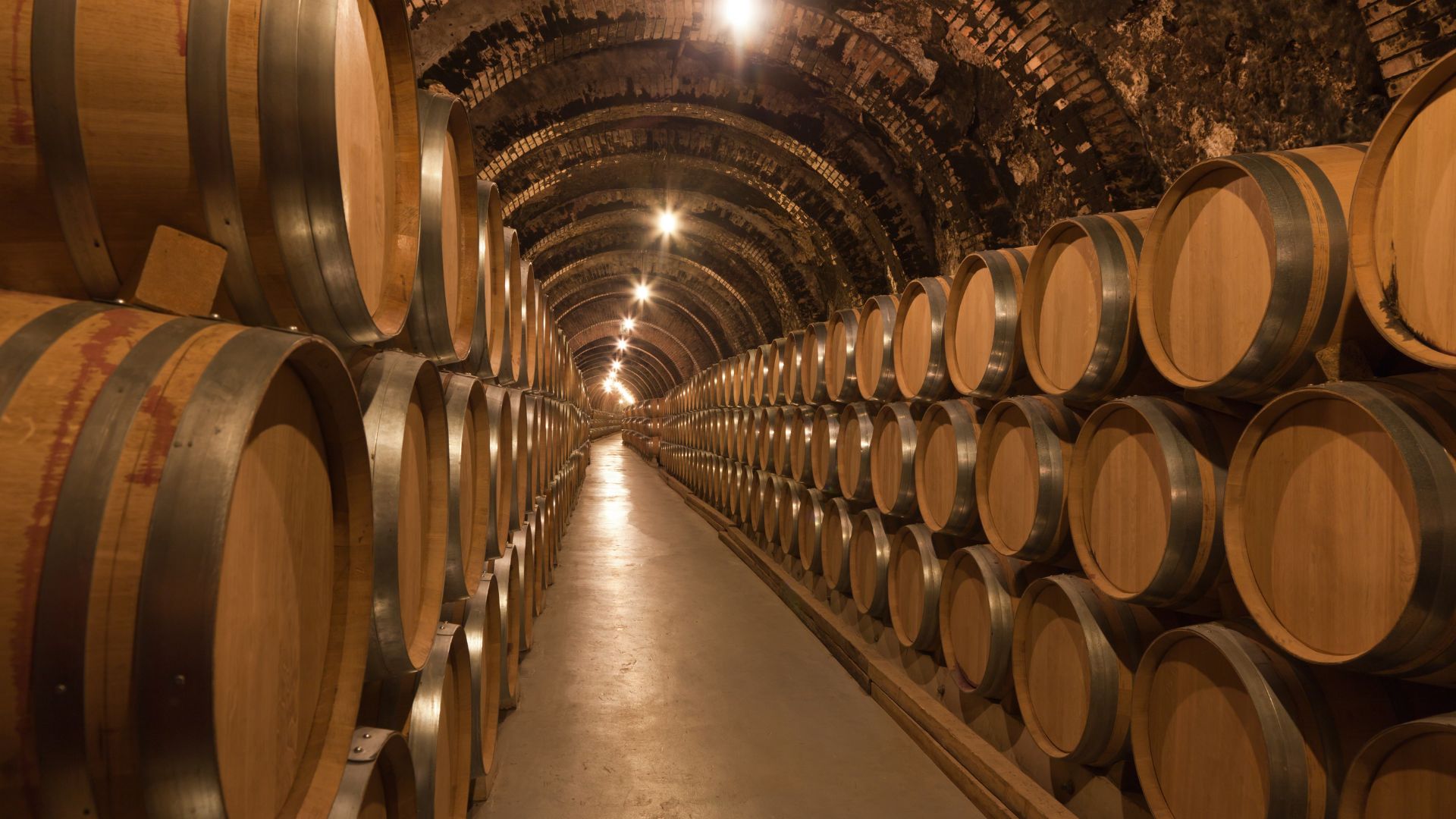vinival Alboraya 2026