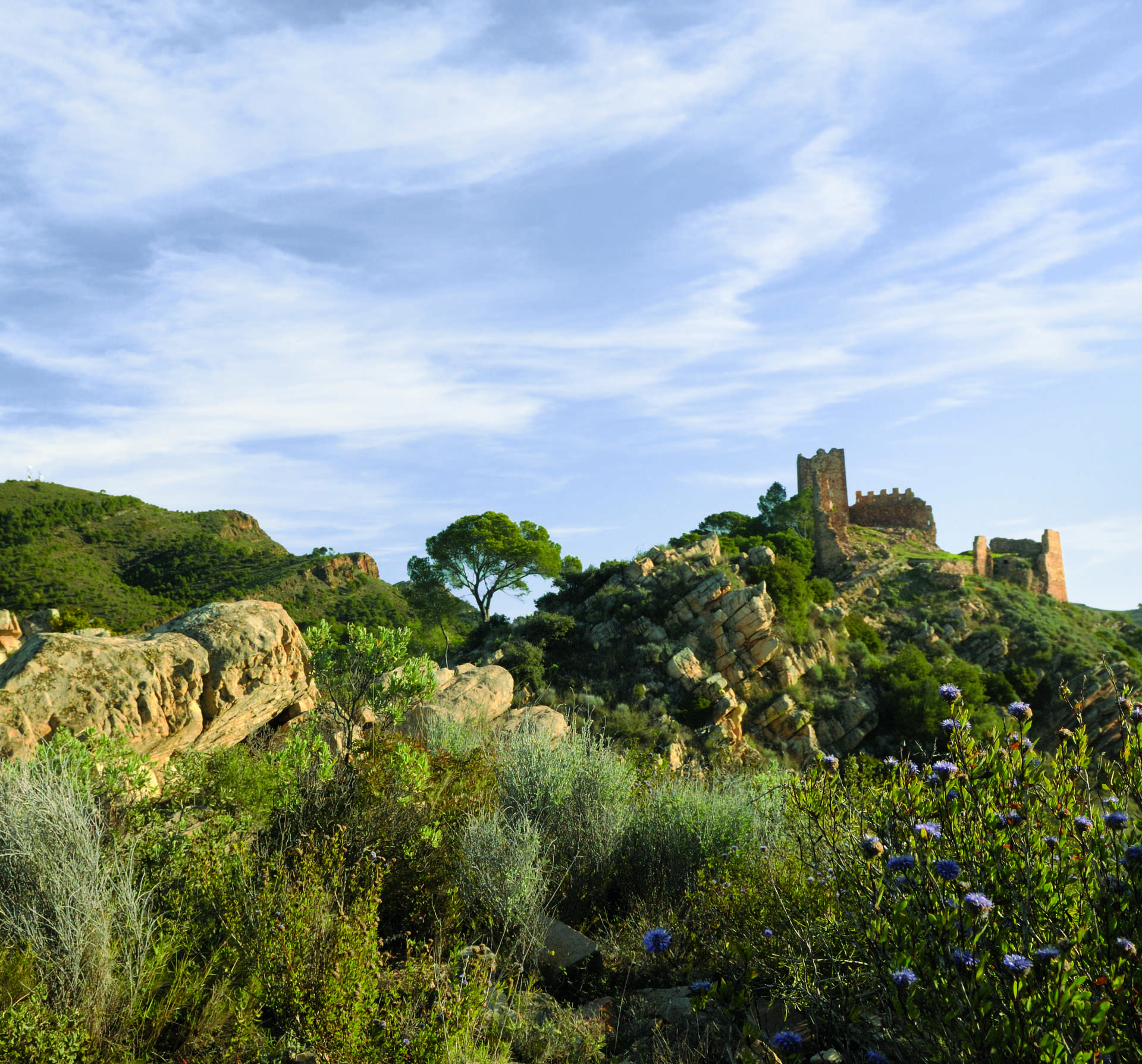 Castillo Serra
