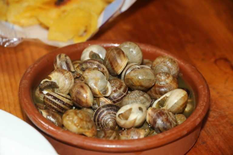 XII Ruta Gastronòmica del Caragol de l’Alcora 2023