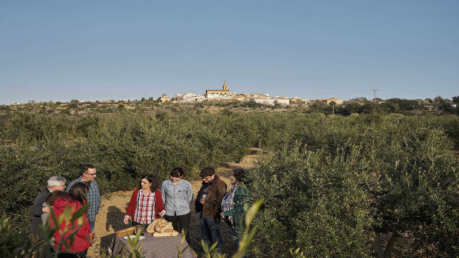 activites a torreblanca