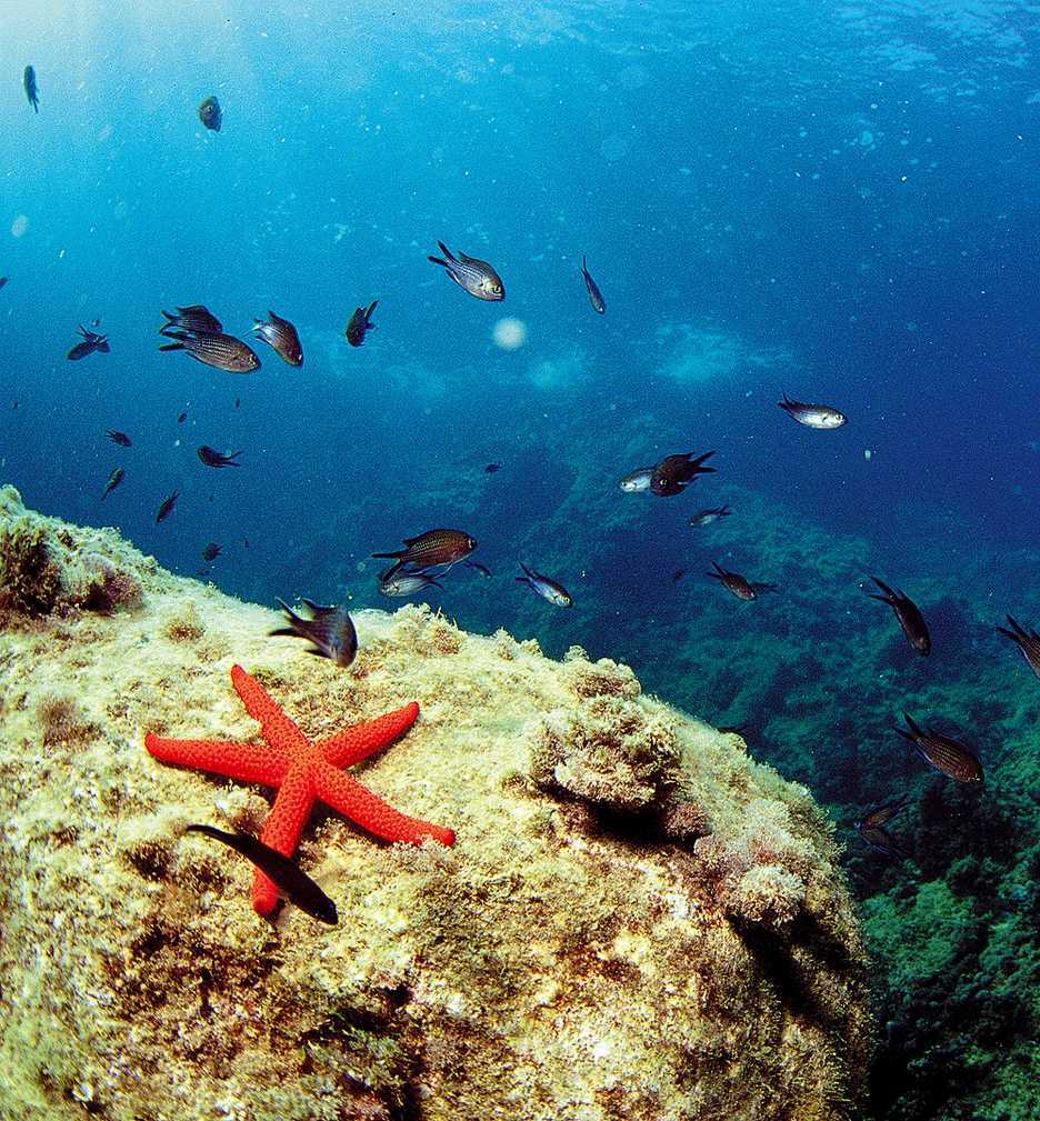 Meeresnaturschutzgebiet Cabo de San Antonio