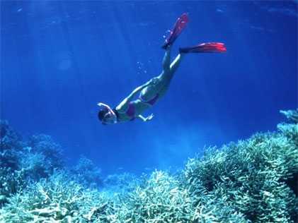 Réserve Naturelle des fonds marins du Cabo de San Antonio