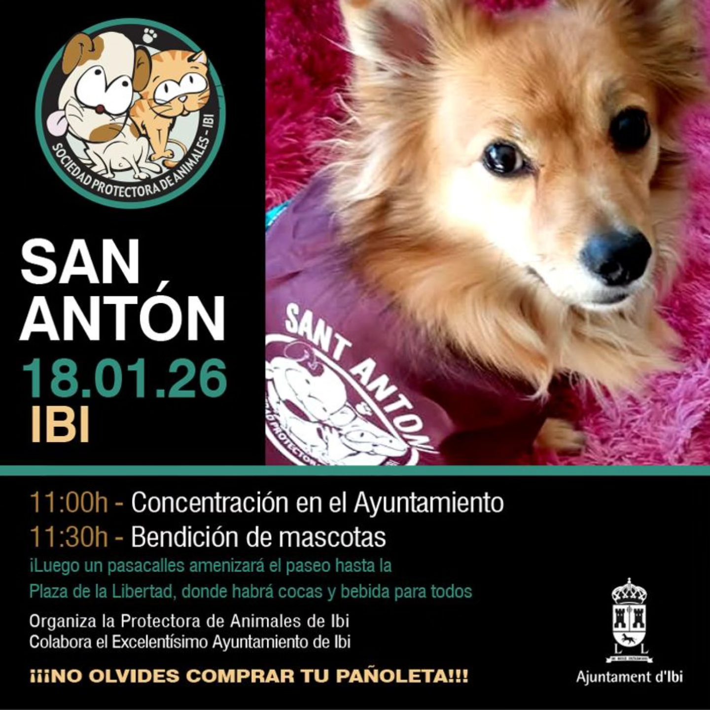 SAN ANTÓN IBI 2026