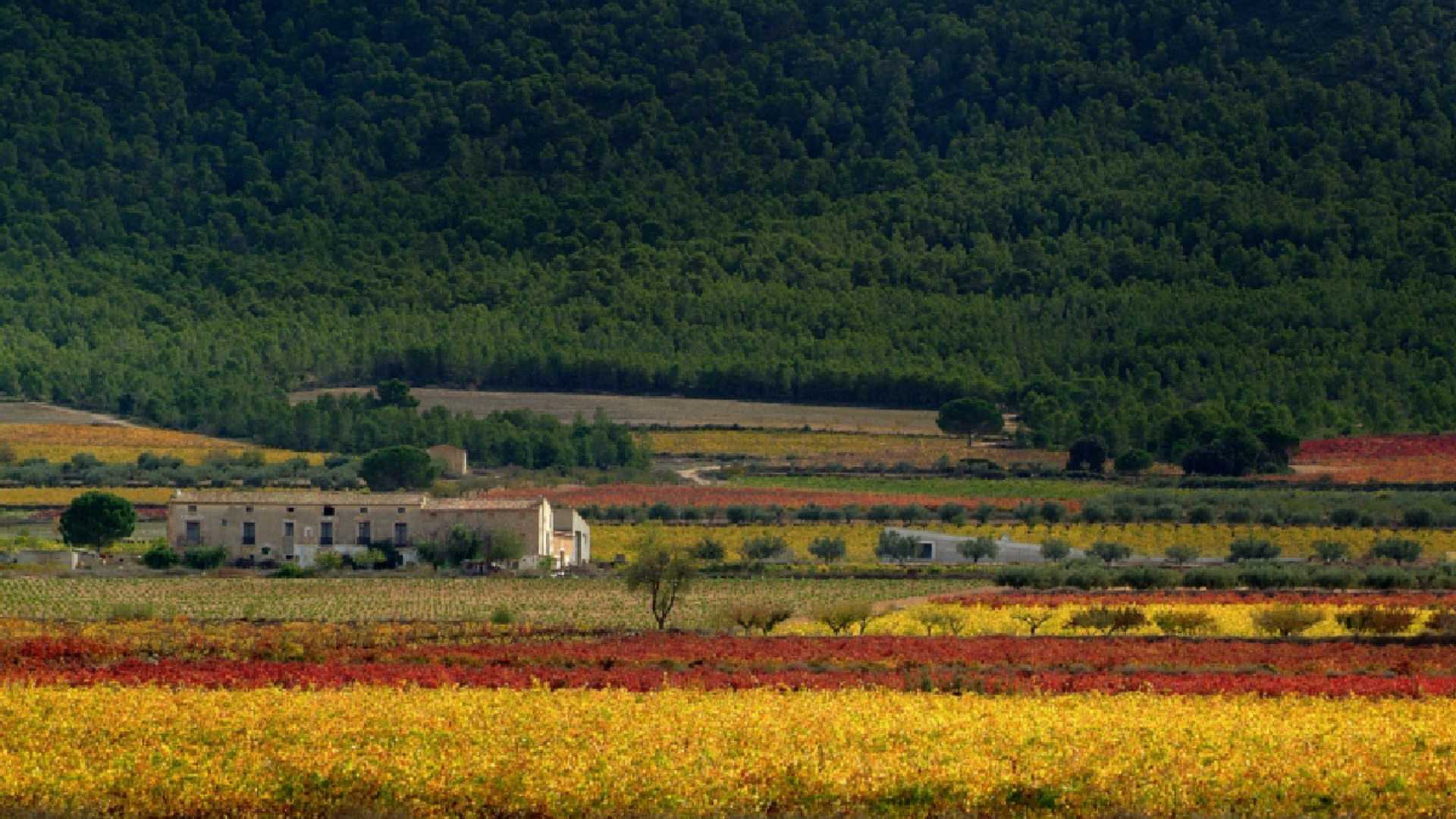 la saria comunitat valenciana,