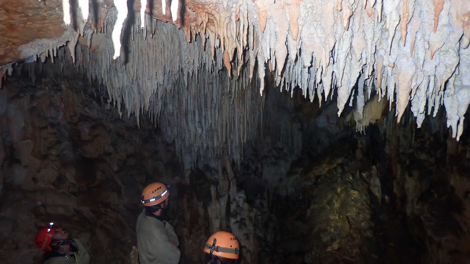 Espeleología Cueva de los Pericos