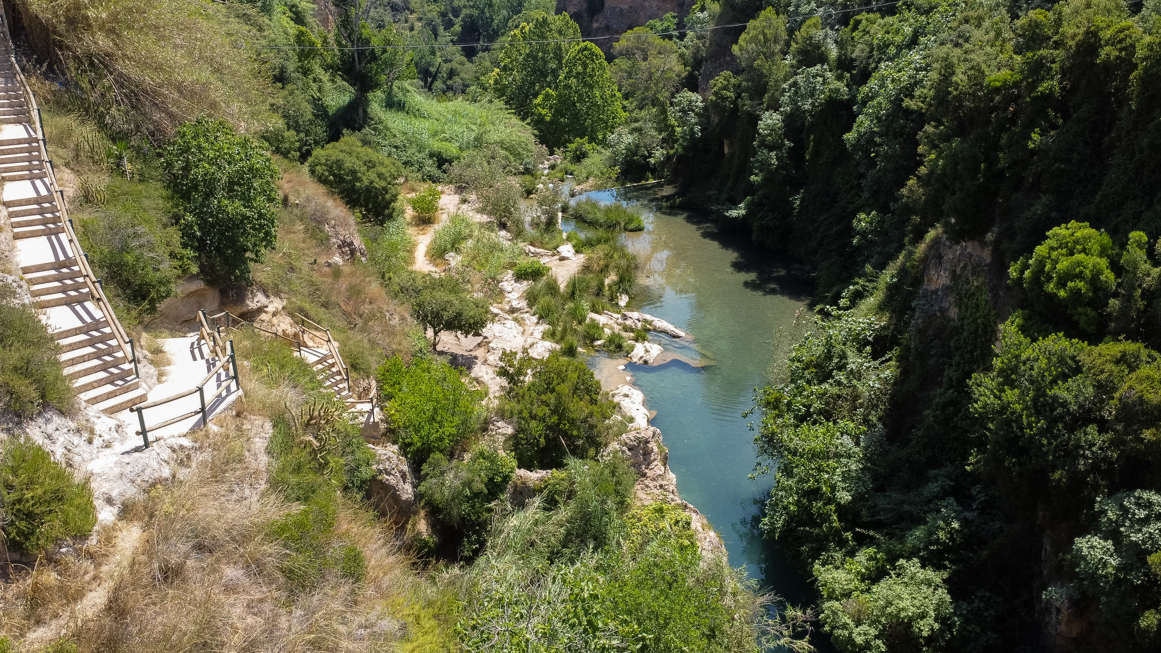 gorgo de la escalera,