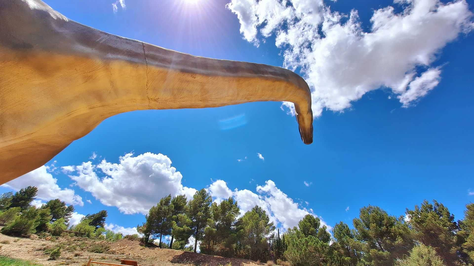 Aras de los Olmos