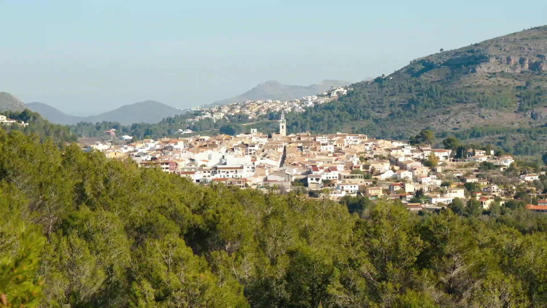 wine tourism alicante