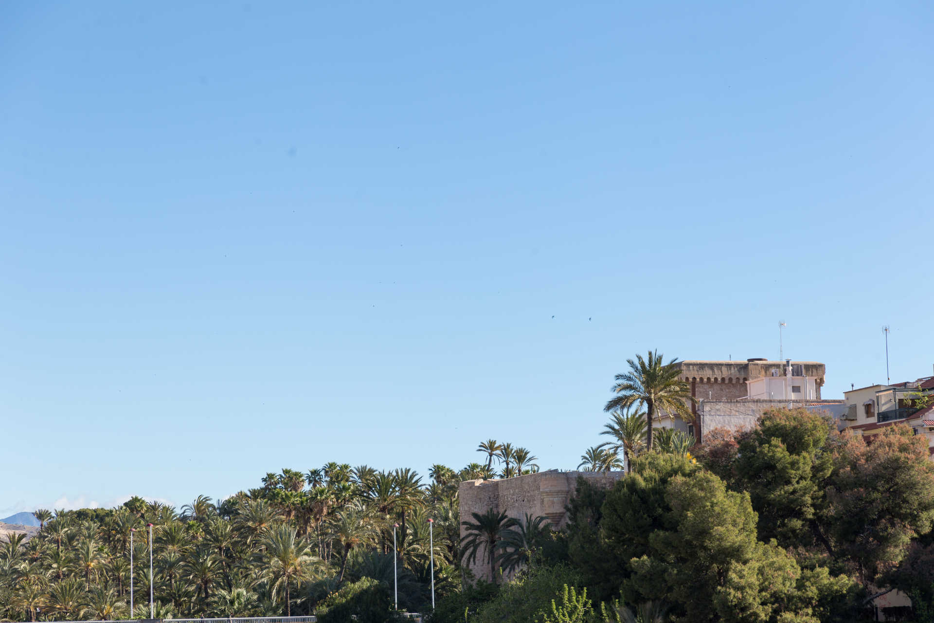 Museum Of Archaeology And History Of Elx (Mahe). Altamira Palace.